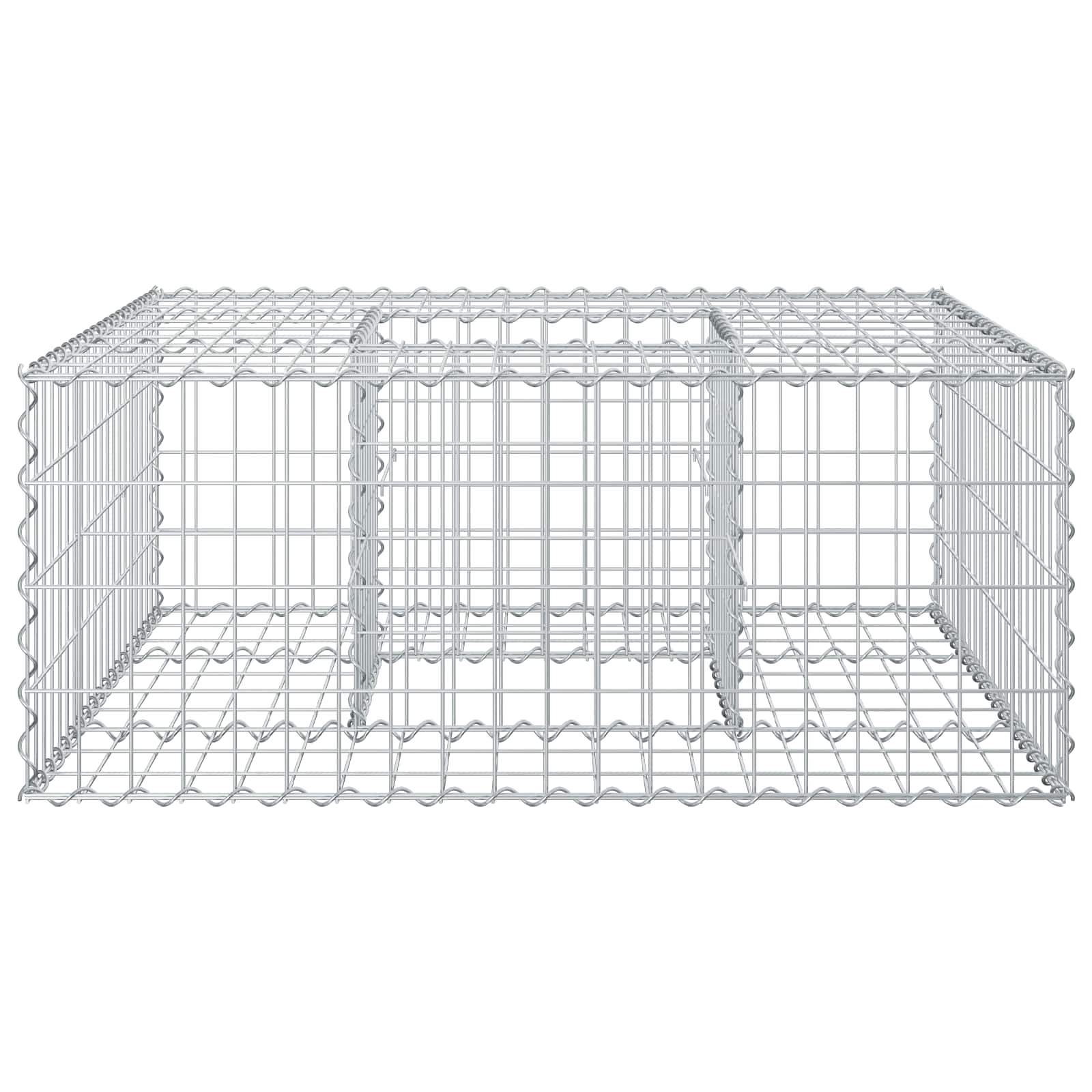 Gabionen Hochbeet 100 x 100 x 40 cm Verzinkter Stahl Silber