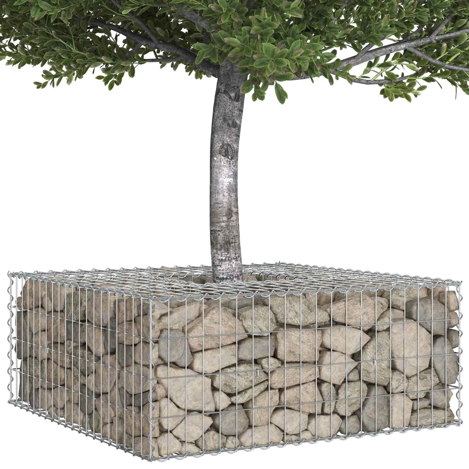 Gabionen Hochbeet 100 x 100 x 40 cm Verzinkter Stahl Silber