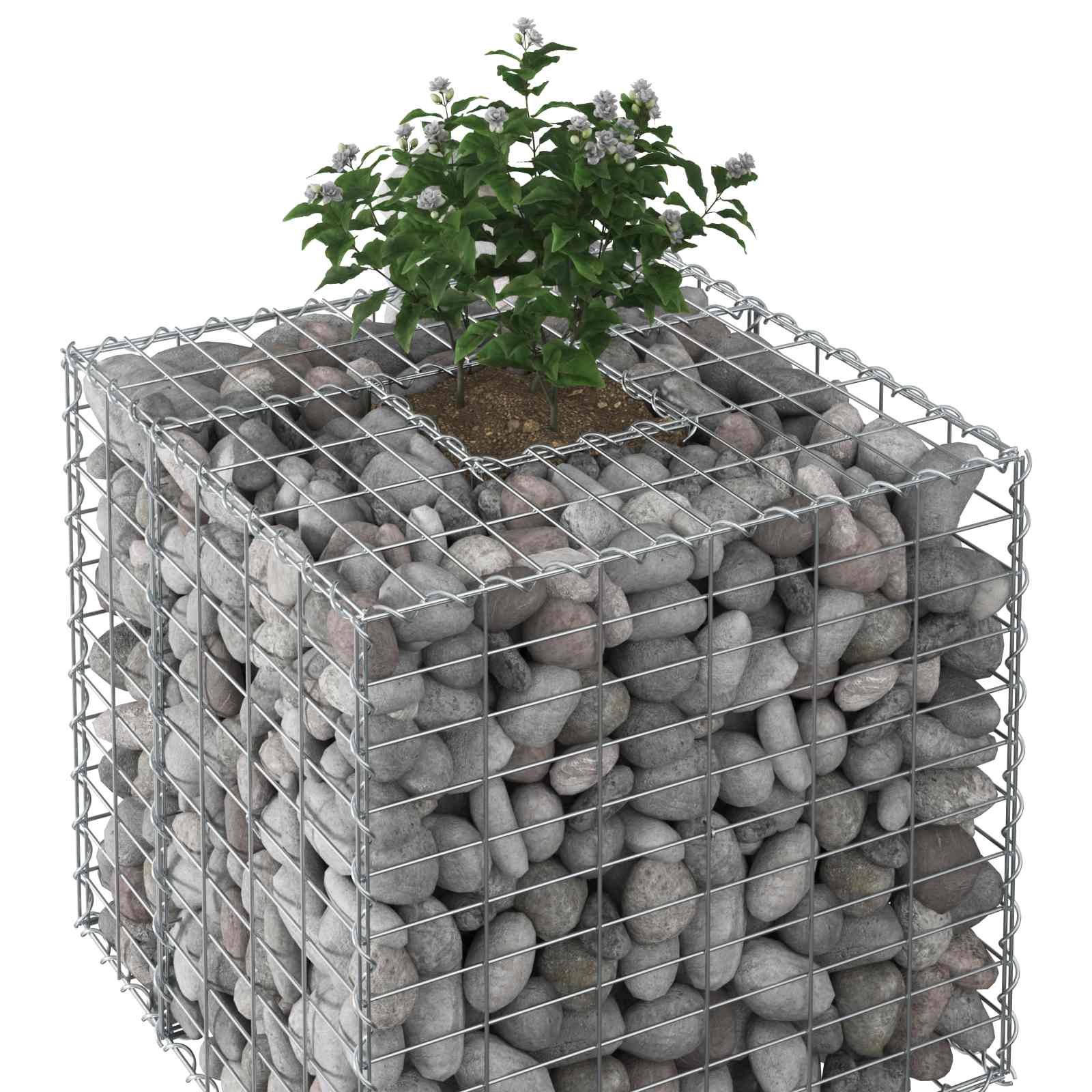 Gabionen-Hochbeet 60 x 60 x 55 cm Verzinkter Stahl Silber