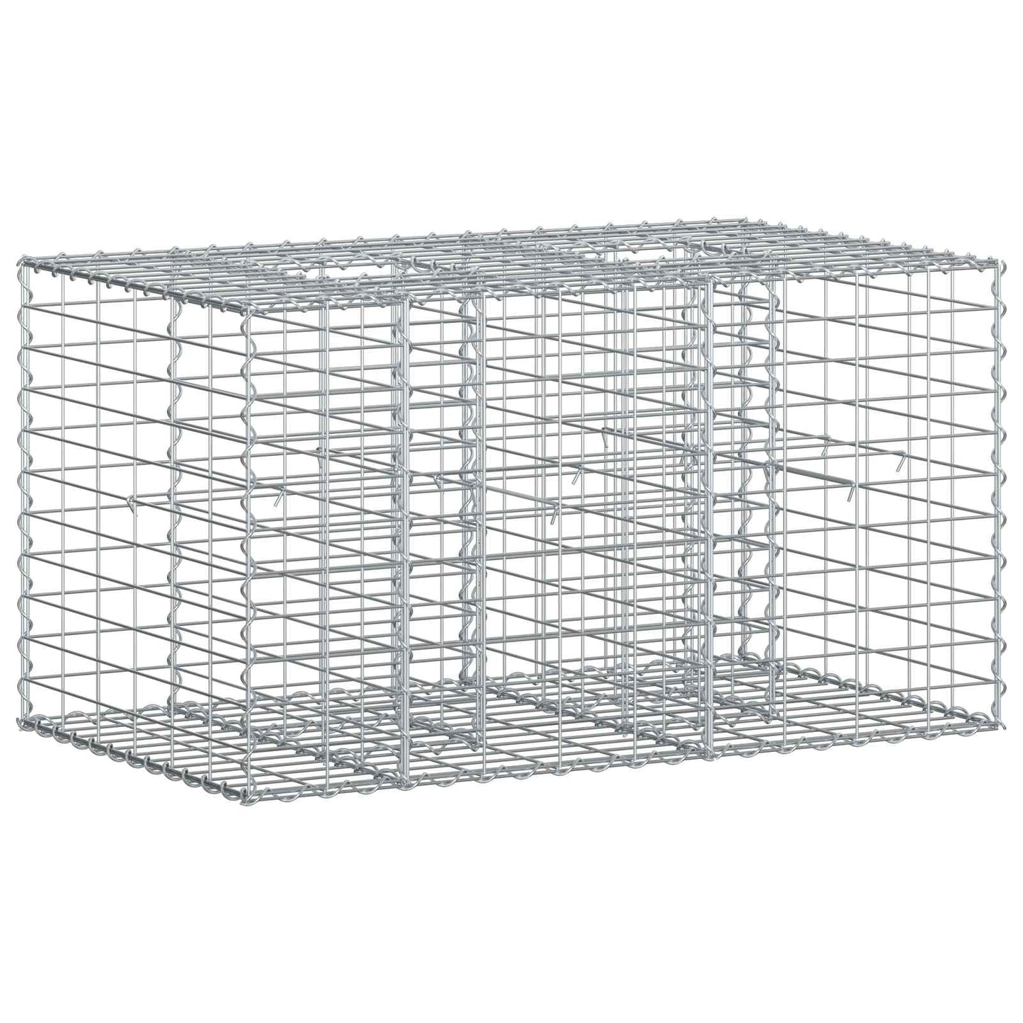 Gabionen-Hochbeet 100 x 60 x 55 cm Verzinkter Stahl Silber