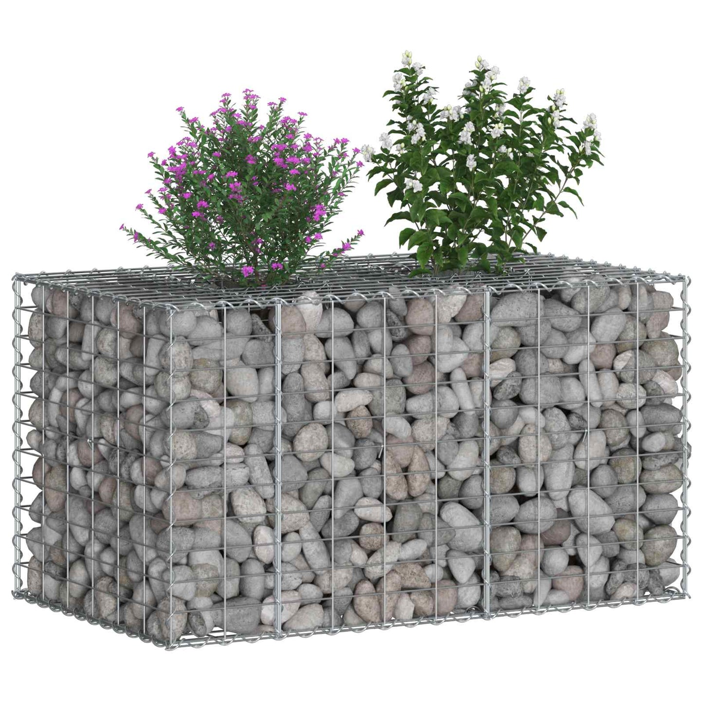 Gabionen-Hochbeet 100 x 60 x 55 cm Verzinkter Stahl Silber