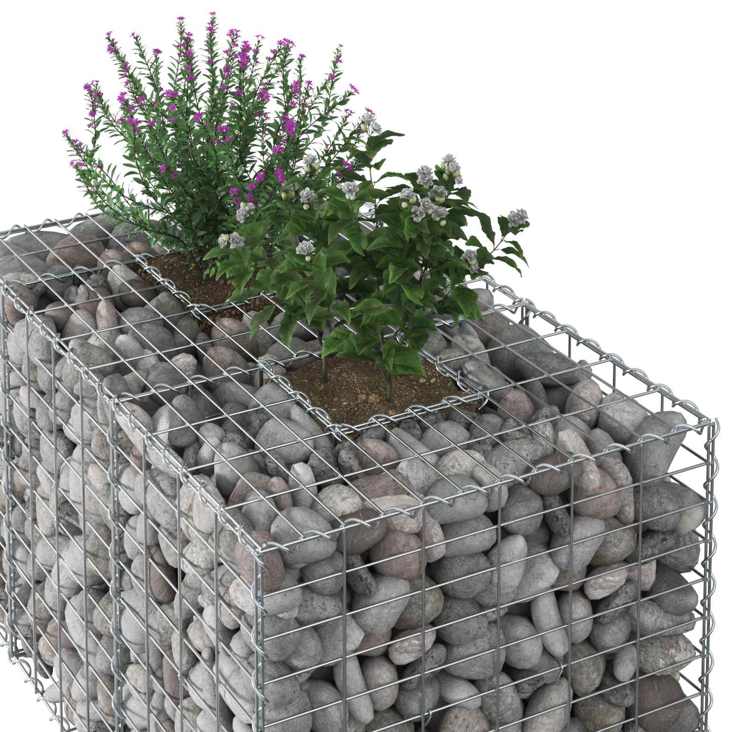 Gabionen-Hochbeet 100 x 60 x 55 cm Verzinkter Stahl Silber