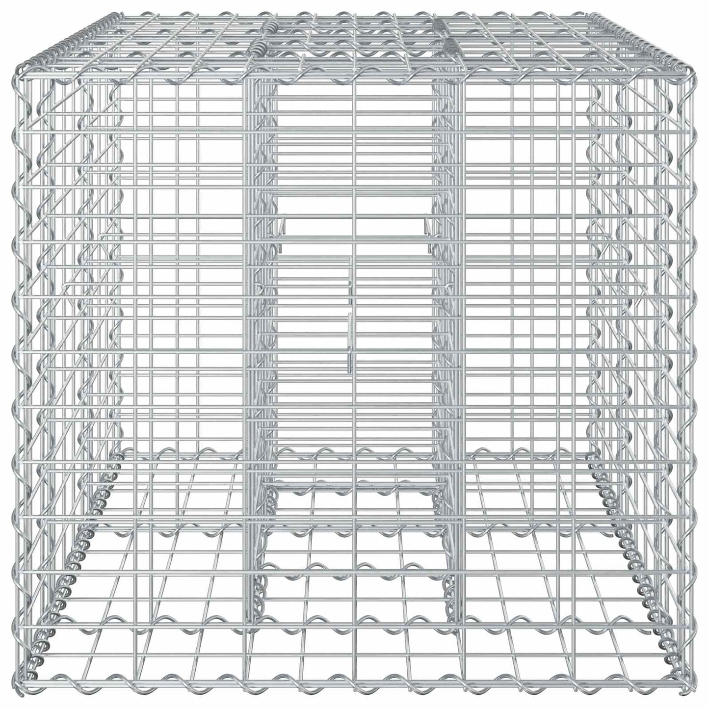 Gabionen-Hochbeet 100 x 60 x 55 cm Verzinkter Stahl Silber