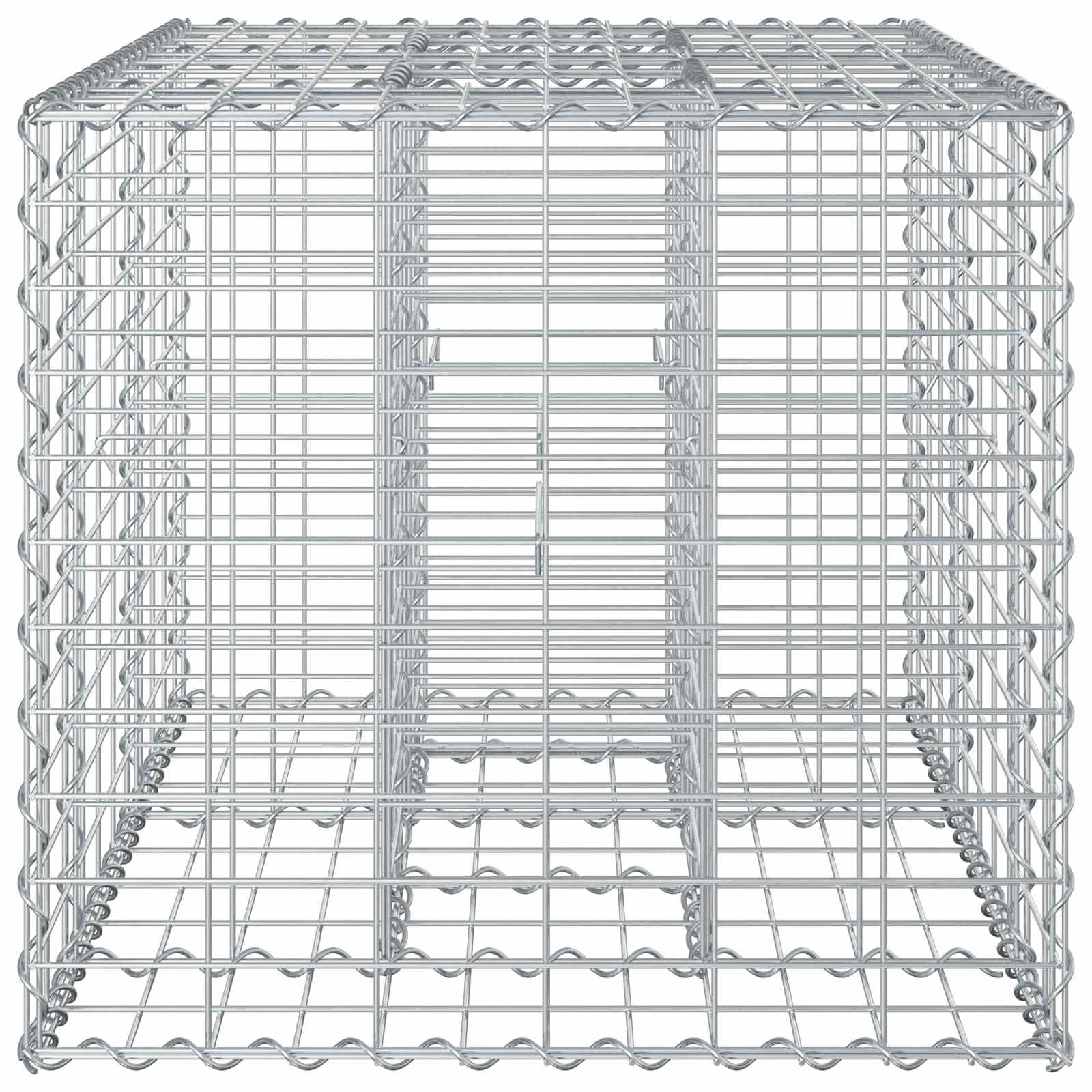 Gabionen-Hochbeet 100 x 60 x 55 cm Verzinkter Stahl Silber