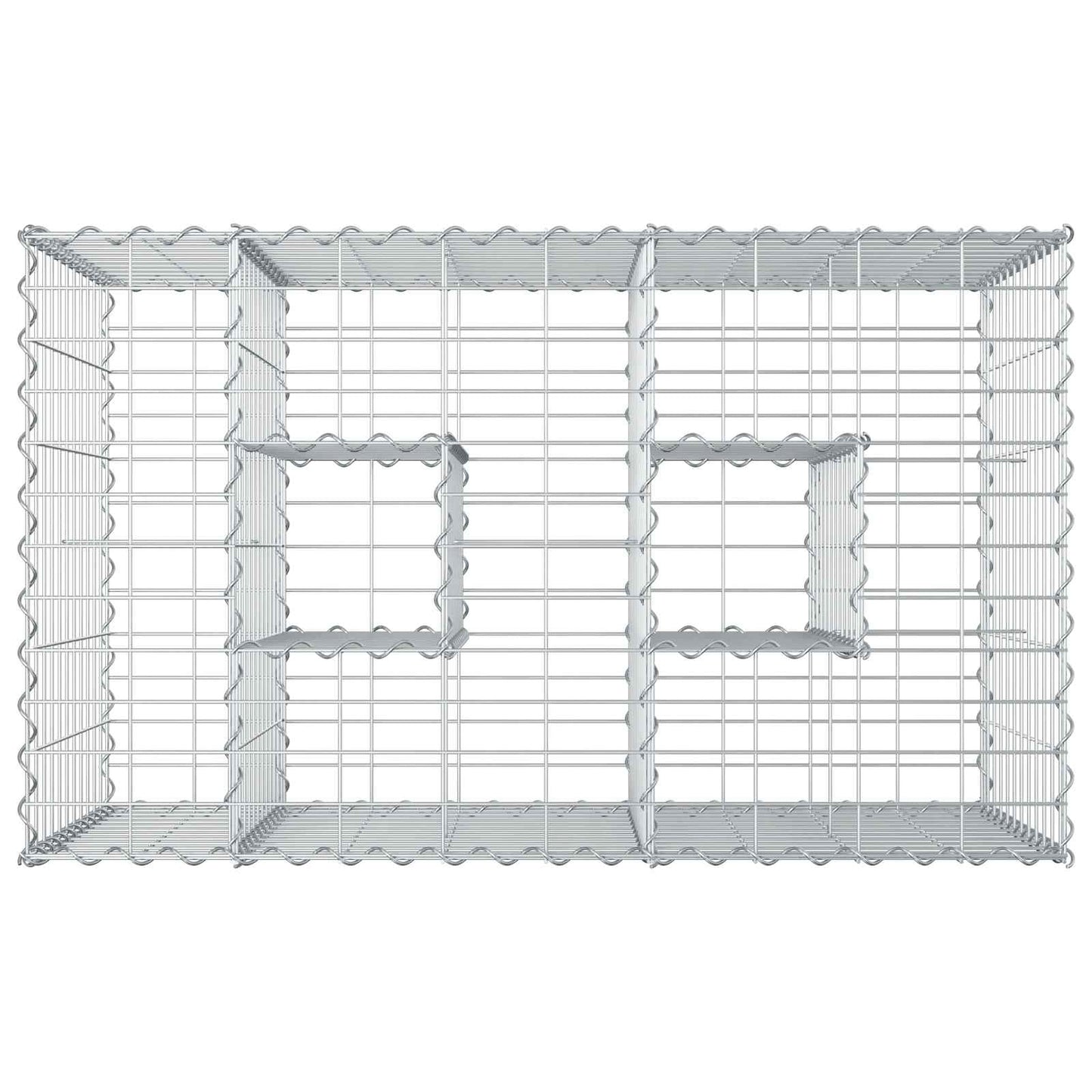 Gabionen-Hochbeet 100 x 60 x 55 cm Verzinkter Stahl Silber