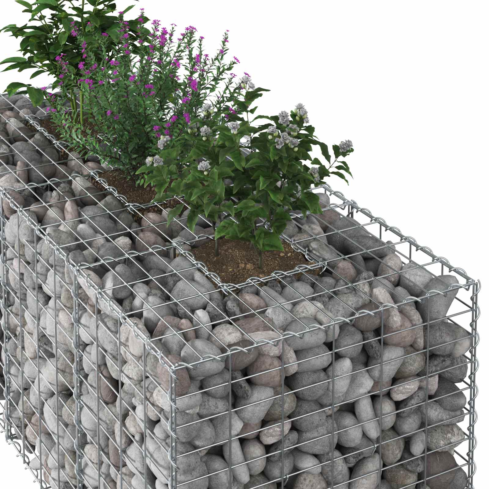 Gabionen-Hochbeet 140 x 60 x 55 cm Verzinkter Stahl Silber