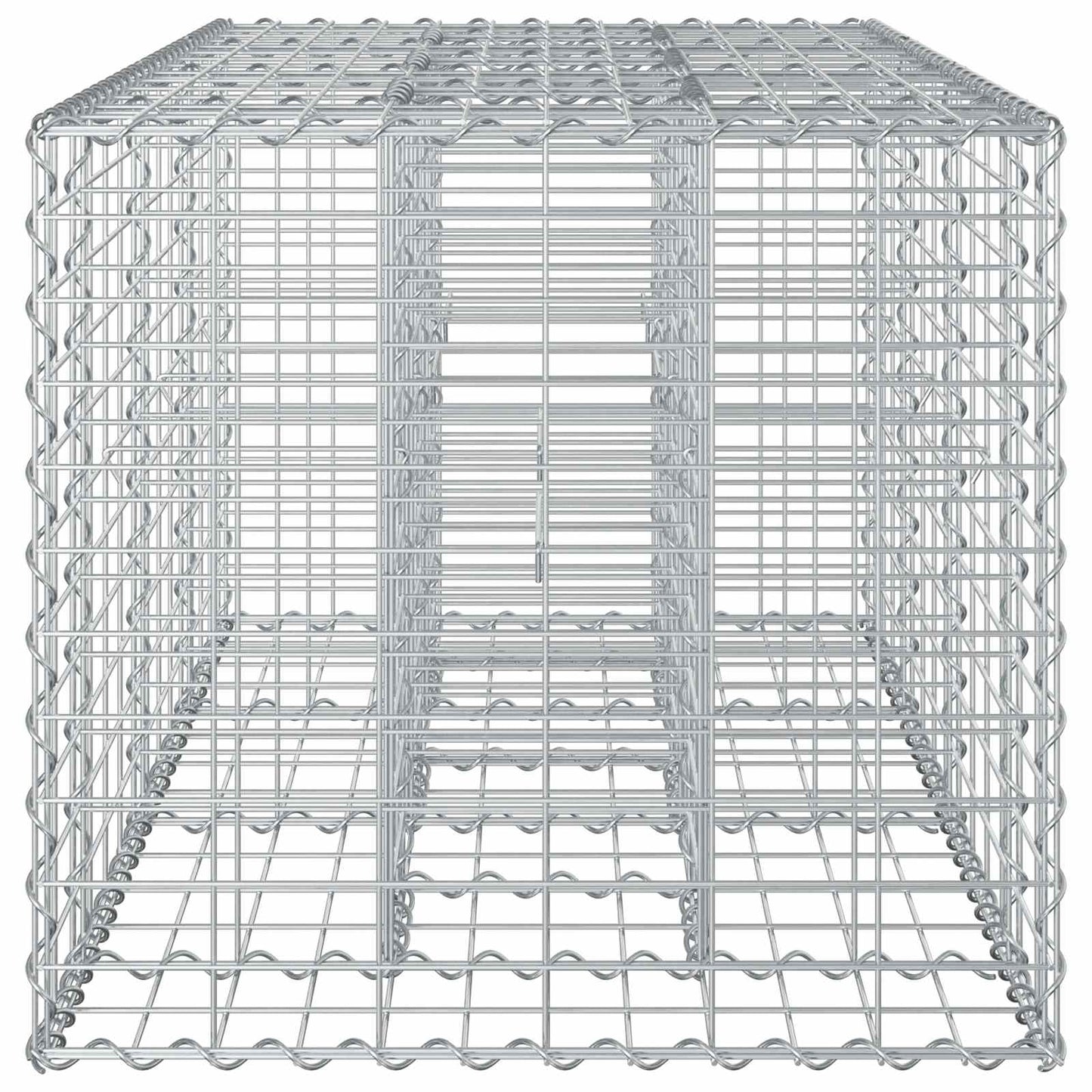 Gabionen-Hochbeet 140 x 60 x 55 cm Verzinkter Stahl Silber