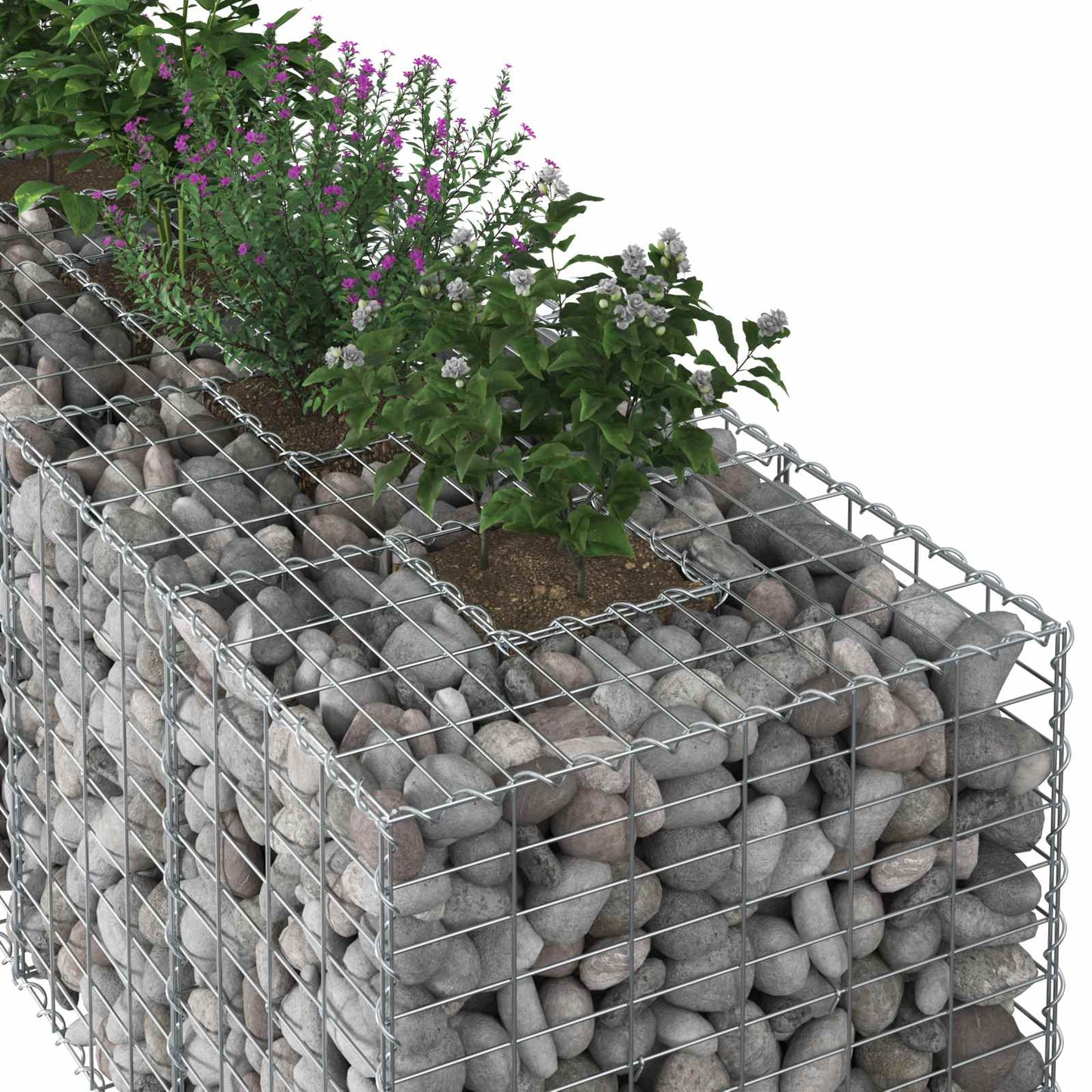 Gabionen-Hochbeet 180 x 60 x 55 cm Verzinkter Stahl Silber