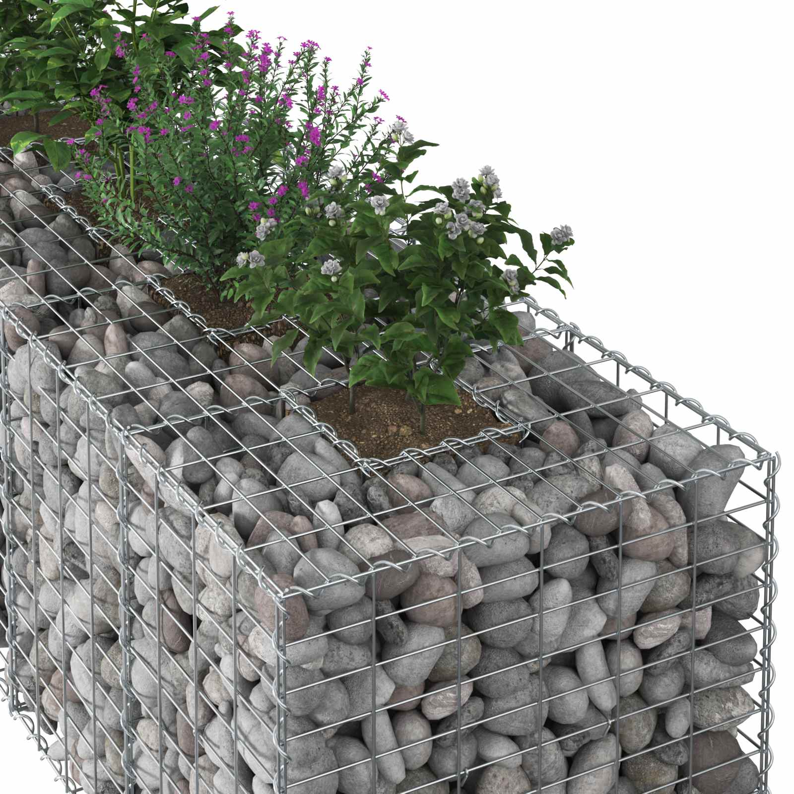 Gabionen-Hochbeet 180 x 60 x 55 cm Verzinkter Stahl Silber