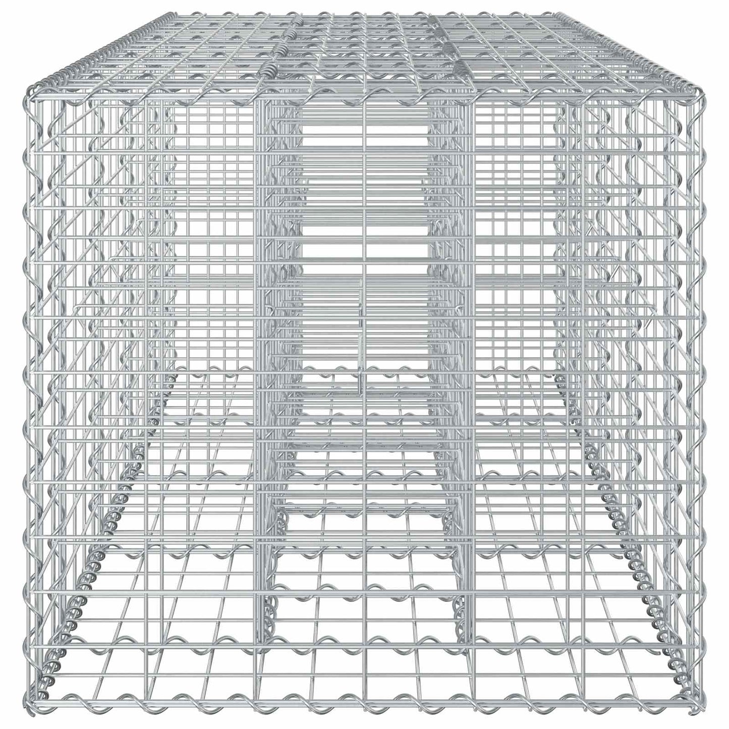 Gabionen-Hochbeet 180 x 60 x 55 cm Verzinkter Stahl Silber