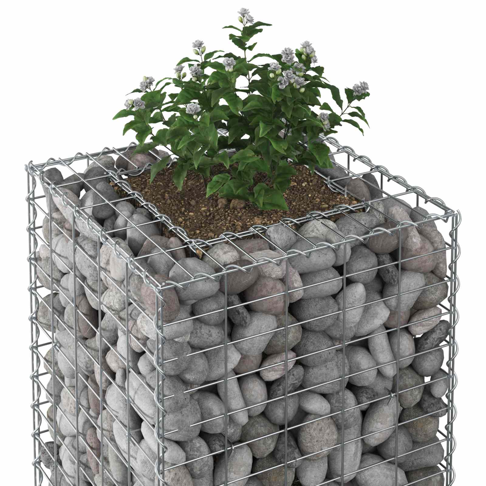 Gabionen-Hochbeet 50 x 50 x 80 cm Verzinkter Stahl Silber
