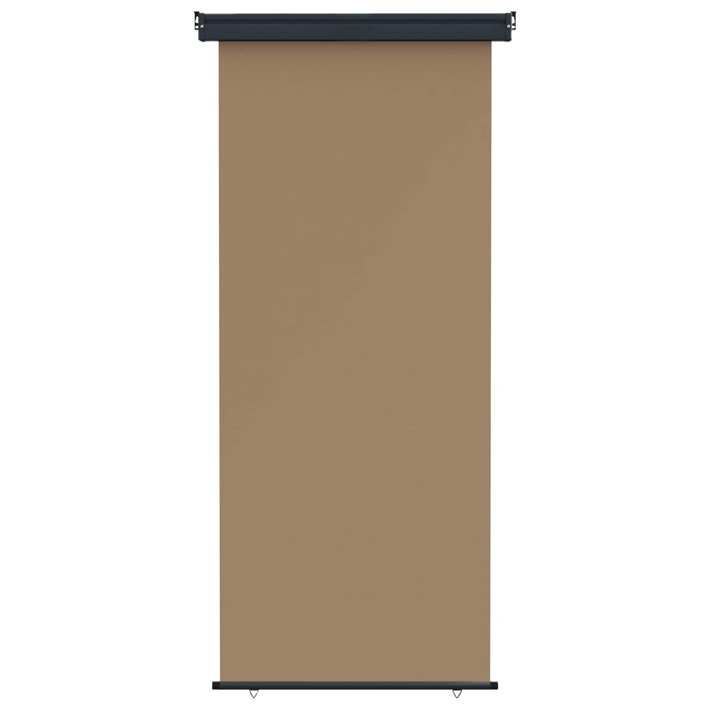 Balkon Seitenmarkise 100 x 250 cm 100% Polyester Eisen Stahl