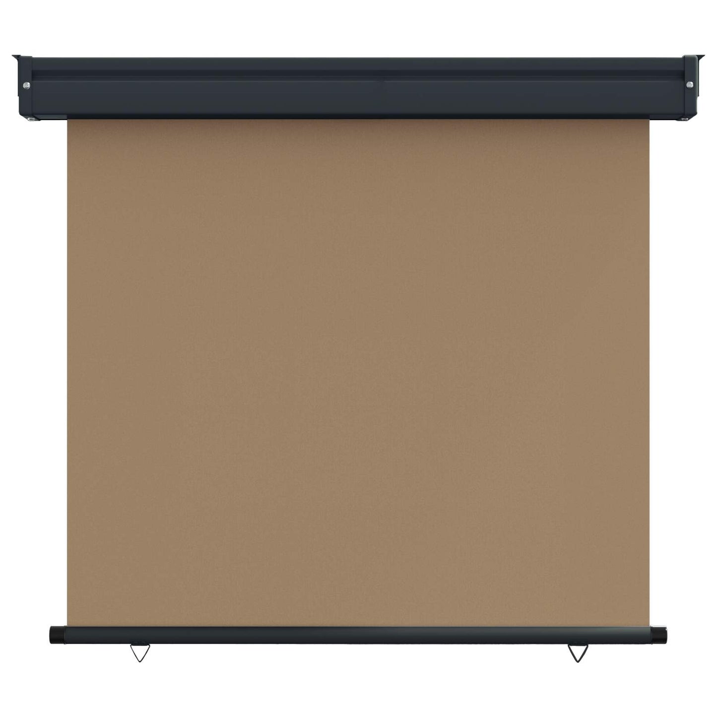 Balkon Seitenmarkise 100 x 250 cm 100% Polyester Eisen Stahl