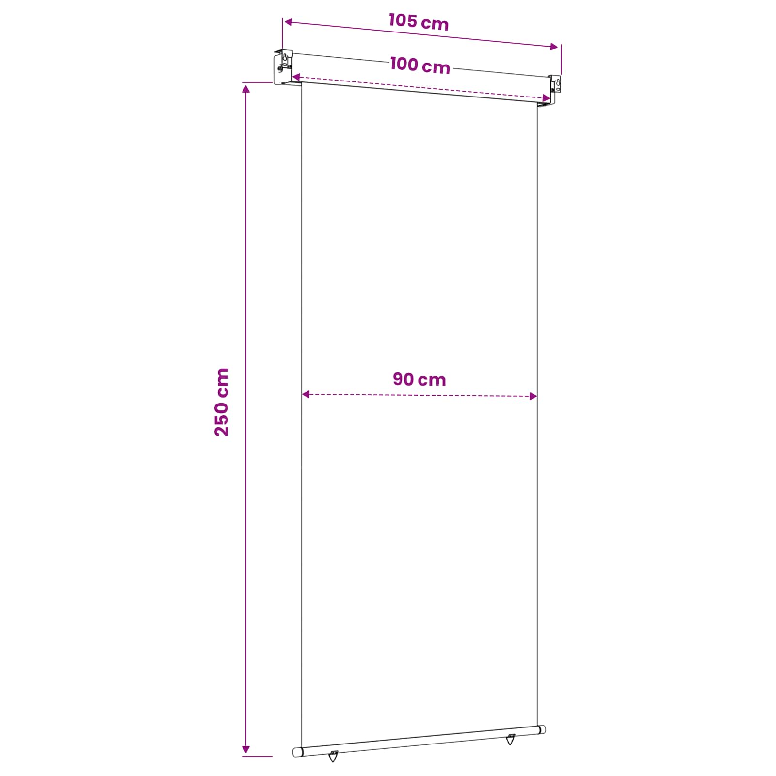 Balkon Seitenmarkise 100 x 250 cm 100% Polyester Eisen Stahl