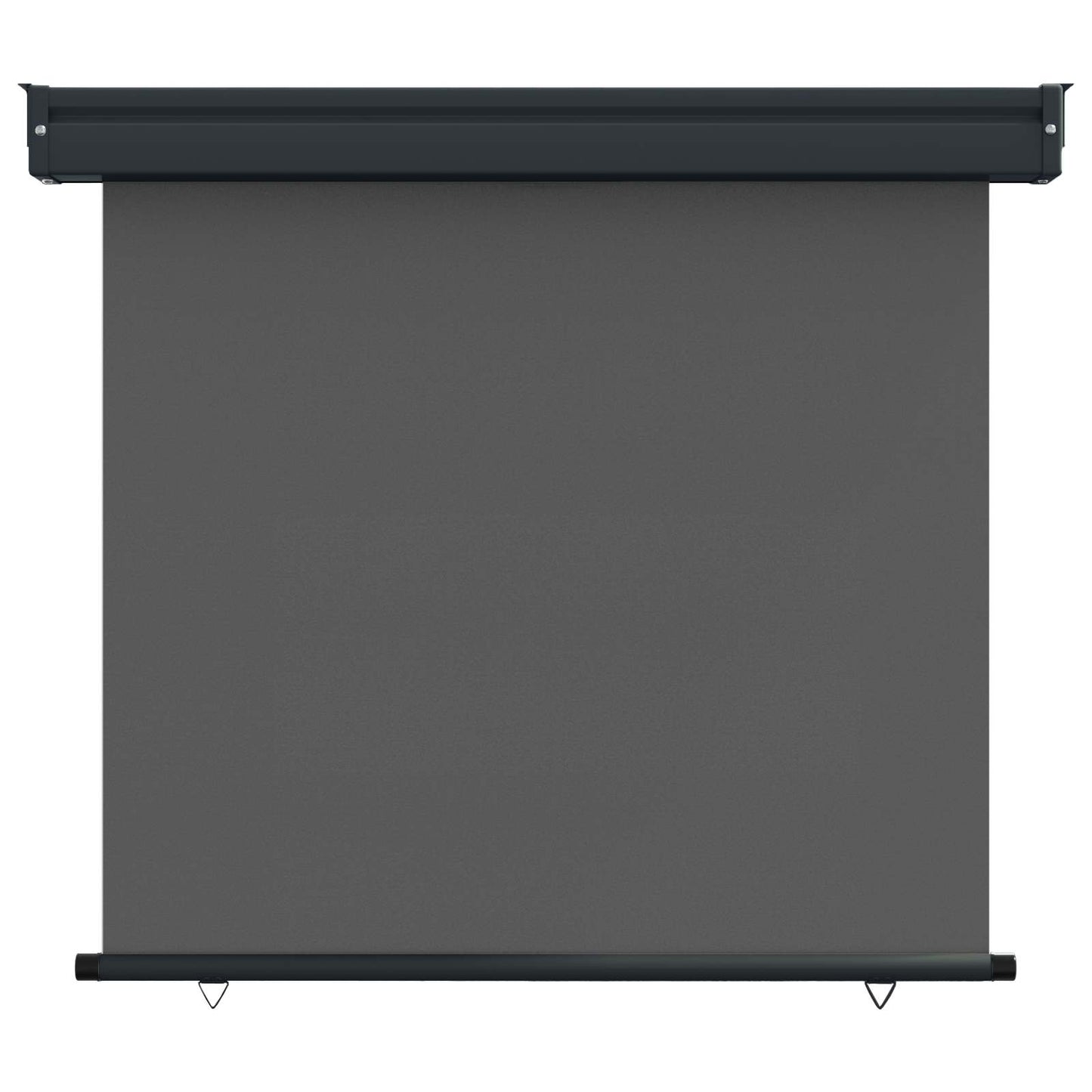 Balkon Seitenmarkise 100 x 250 cm 100% Polyester Eisen Stahl