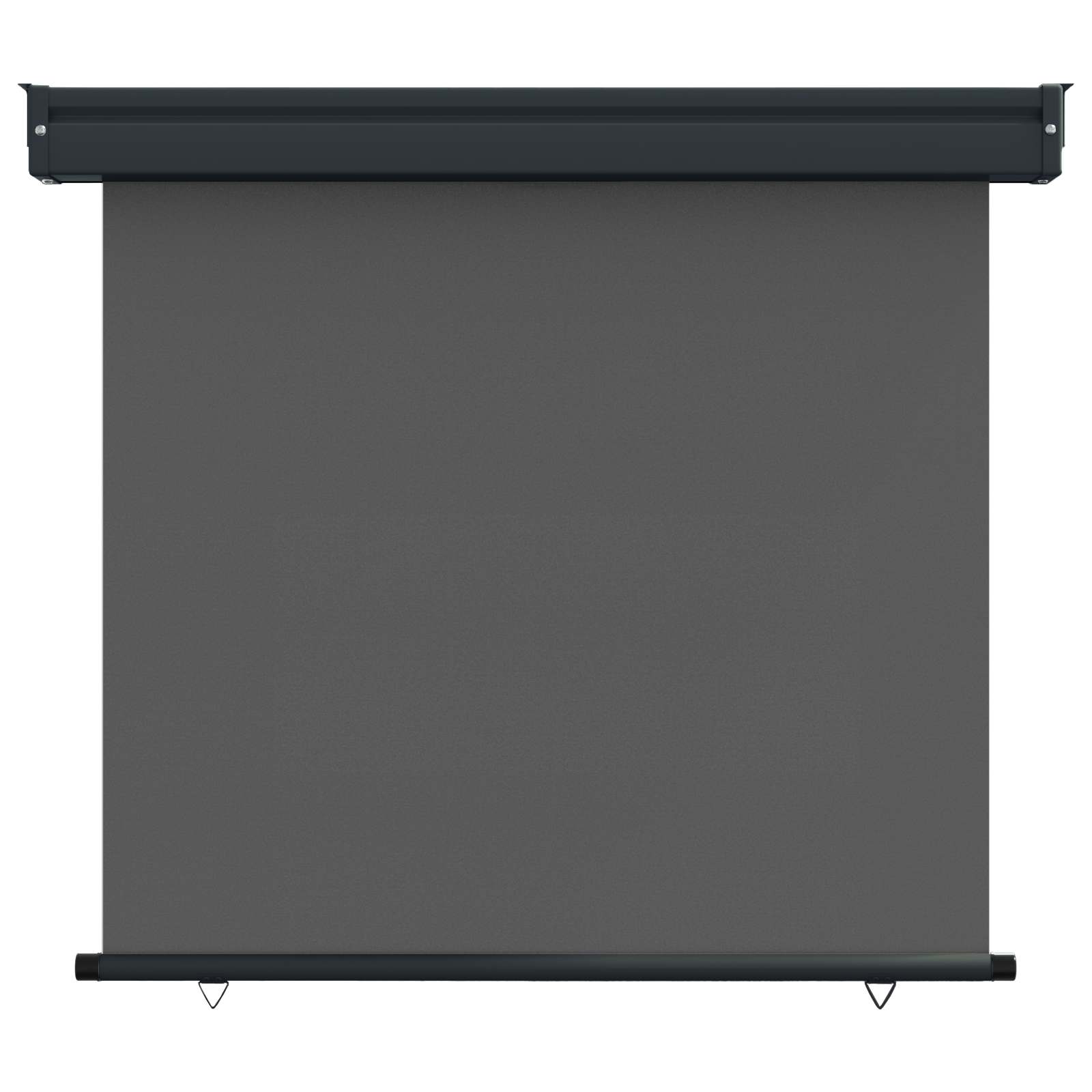 Balkon Seitenmarkise 100 x 250 cm 100% Polyester Eisen Stahl