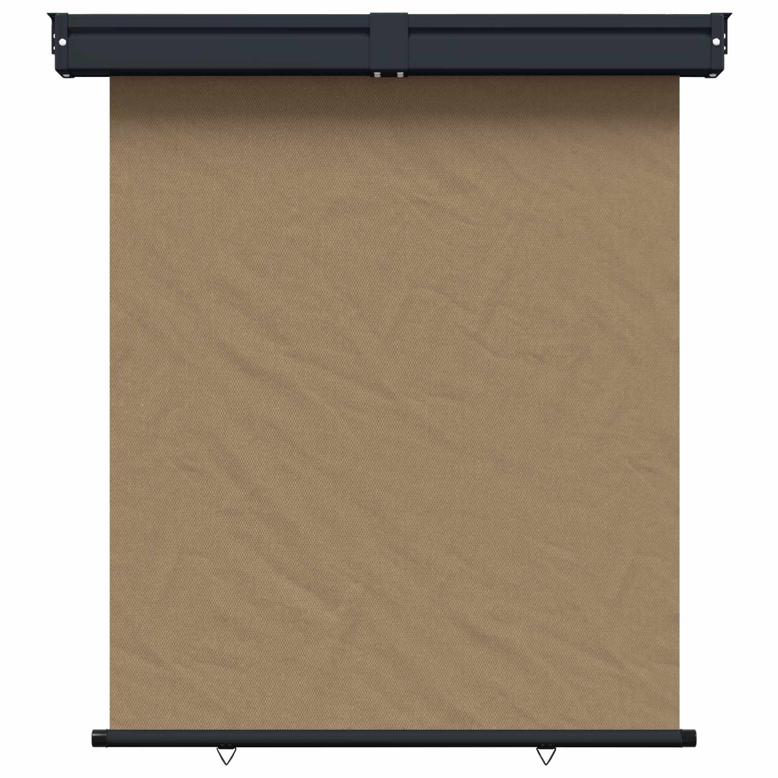 Balkon Seitenmarkise 170 x 250 cm 100% Polyester Eisen Stahl