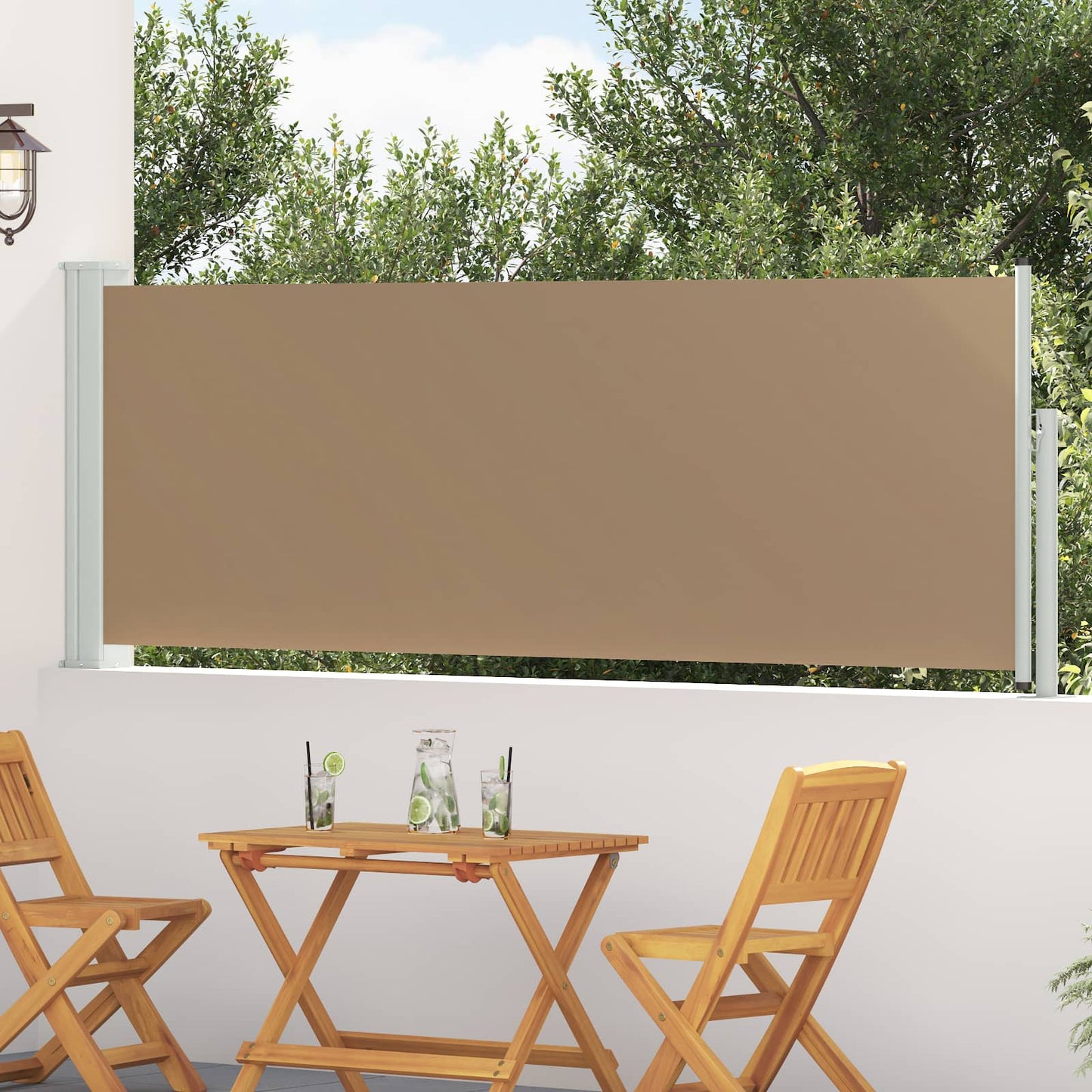 Ausziehbare Seitenmarkise 300 x 100 cm Polyester Rechteckig