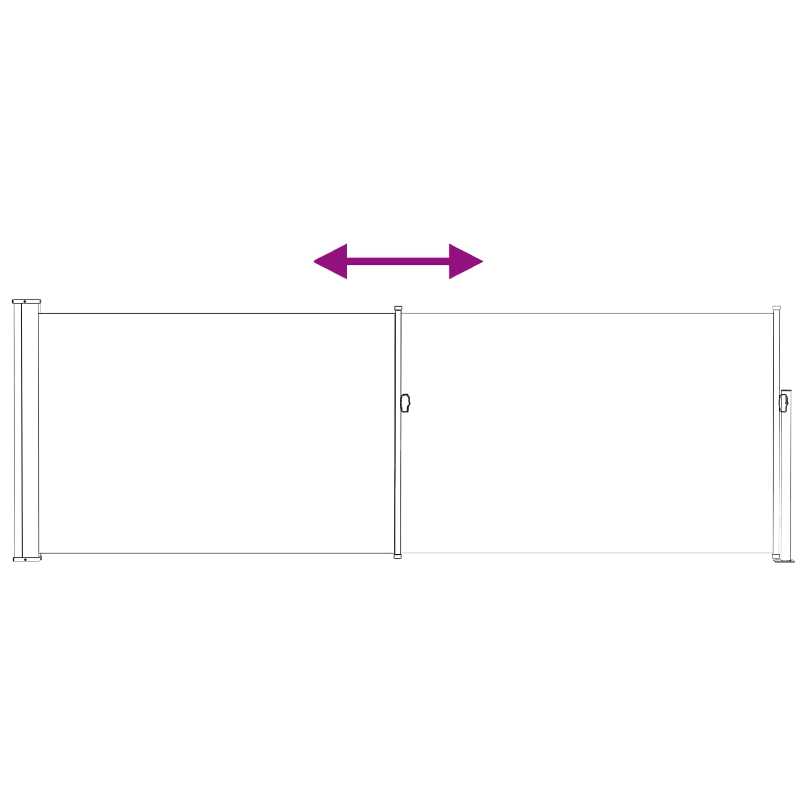 Ausziehbare Seitenmarkise 300 x 100 cm Polyester Rechteckig