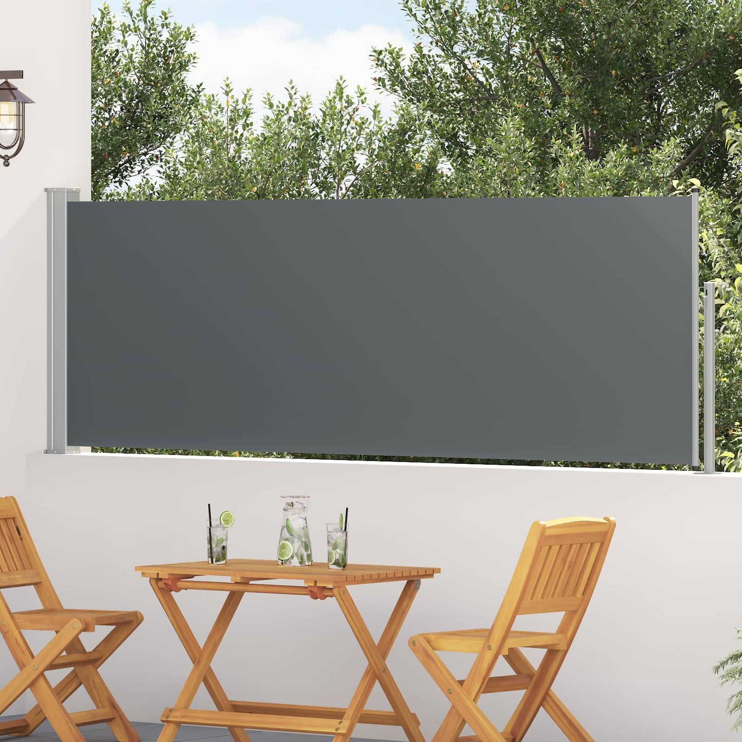 Ausziehbare Seitenmarkise 300 x 100 cm Polyester Rechteckig