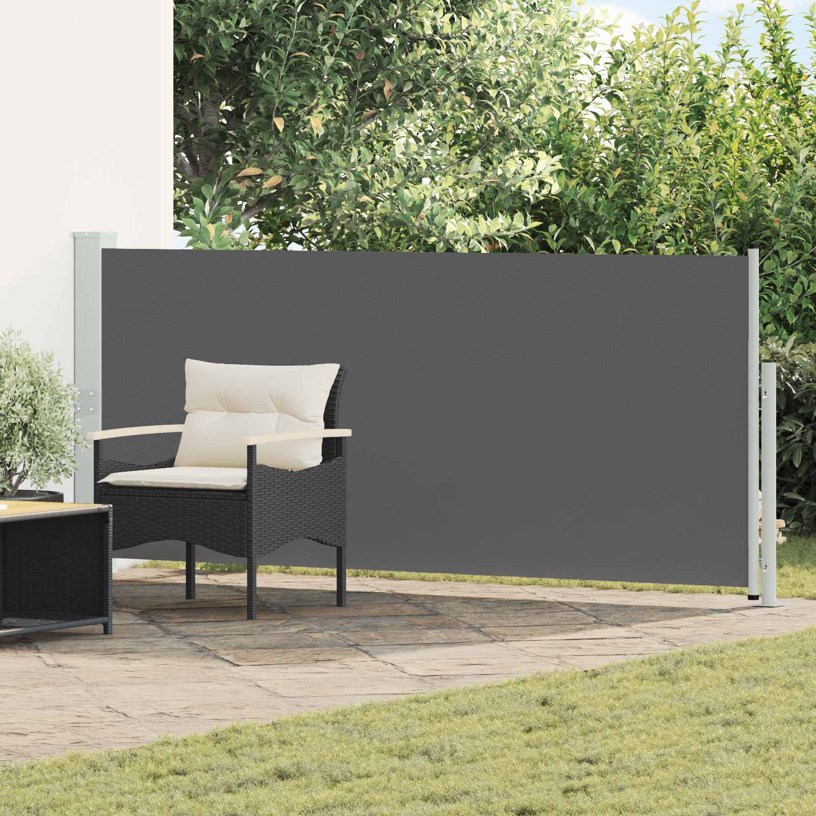 Ausziehbare Seitenmarkise 170 x 300 cm Polyester Rechteckig