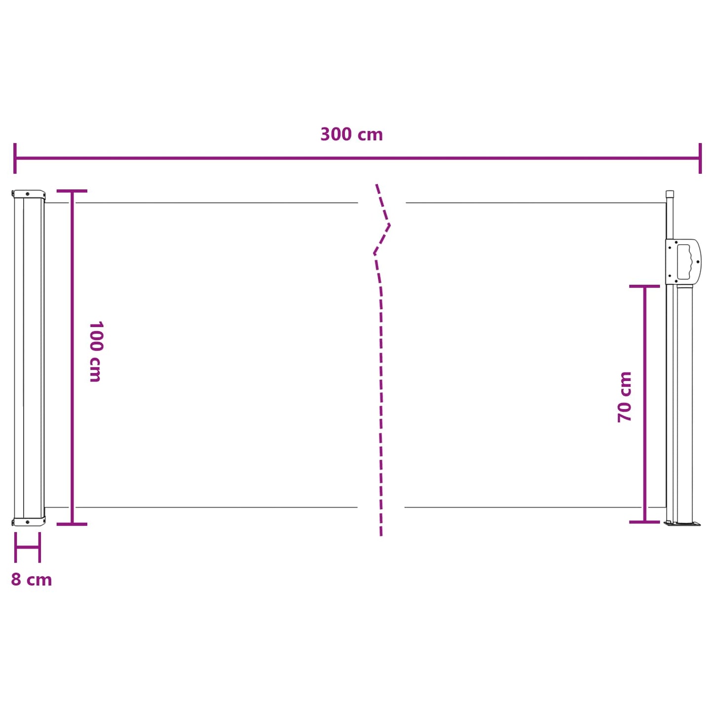 Ausziehbare Seitenmarkise 300 x 100 cm Polyester Rechteckig