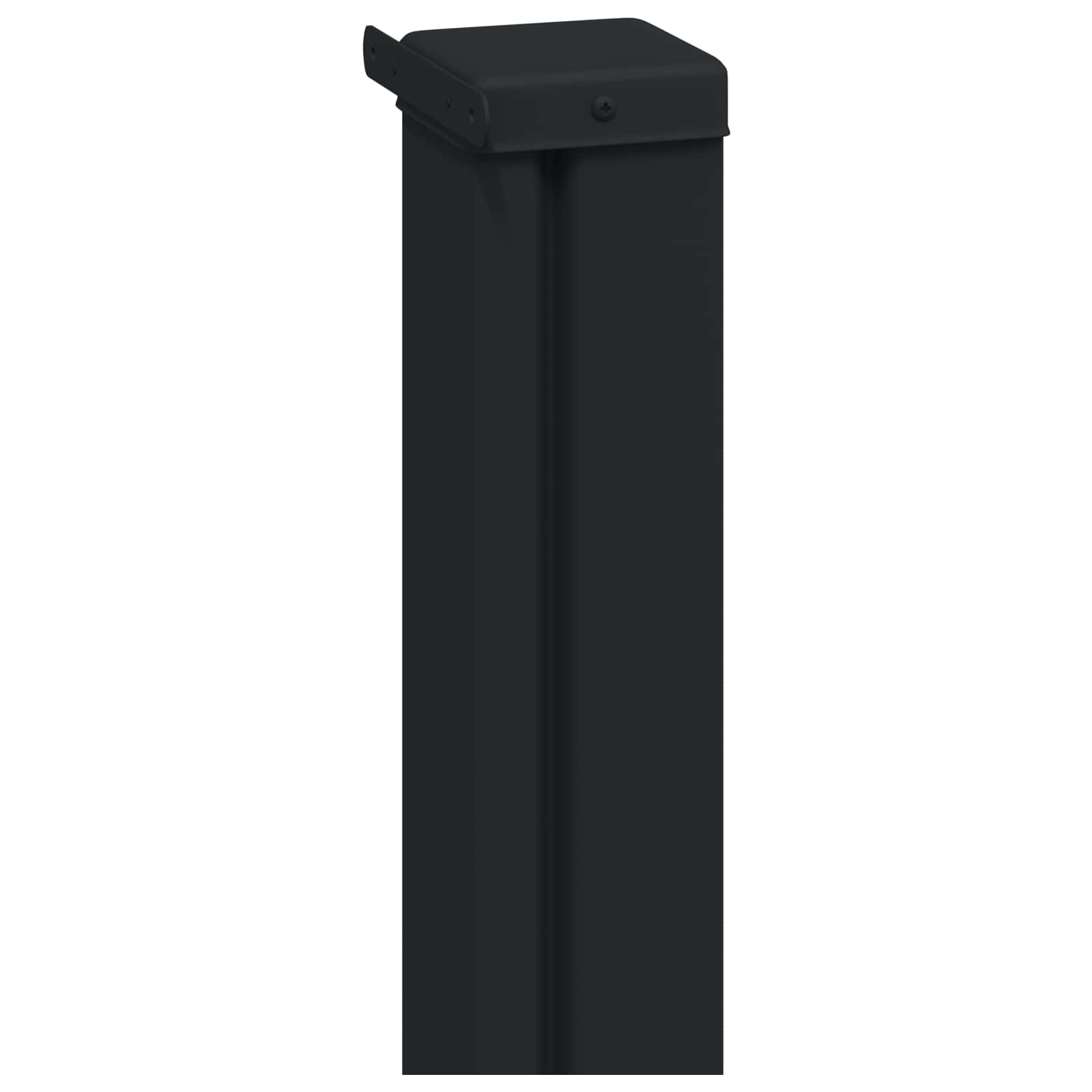 Ausziehbare Seitenmarkise 300 x 100 cm Polyester Rechteckig