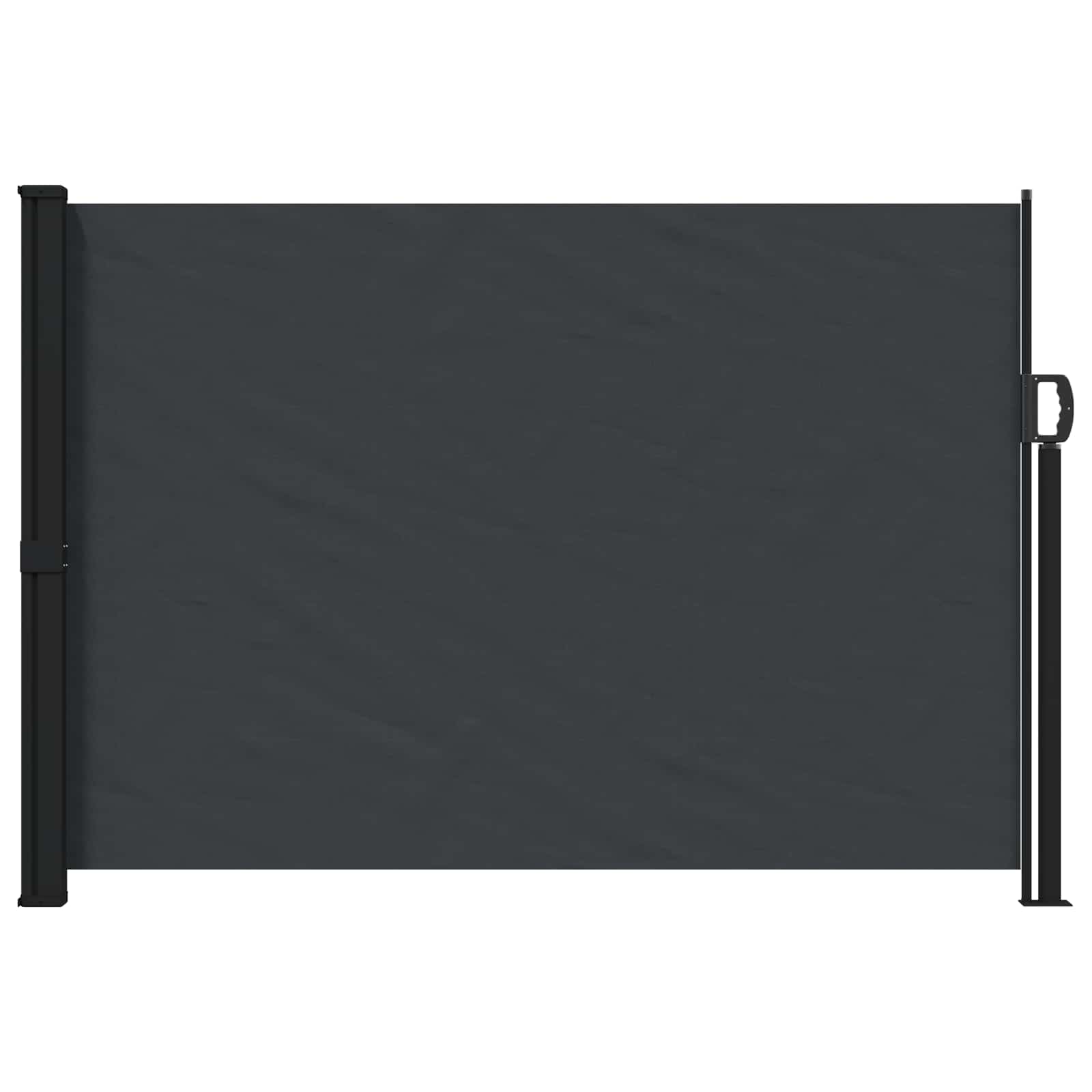 Ausziehbare Seitenmarkise 300 x 170 cm Polyester Rechteckig