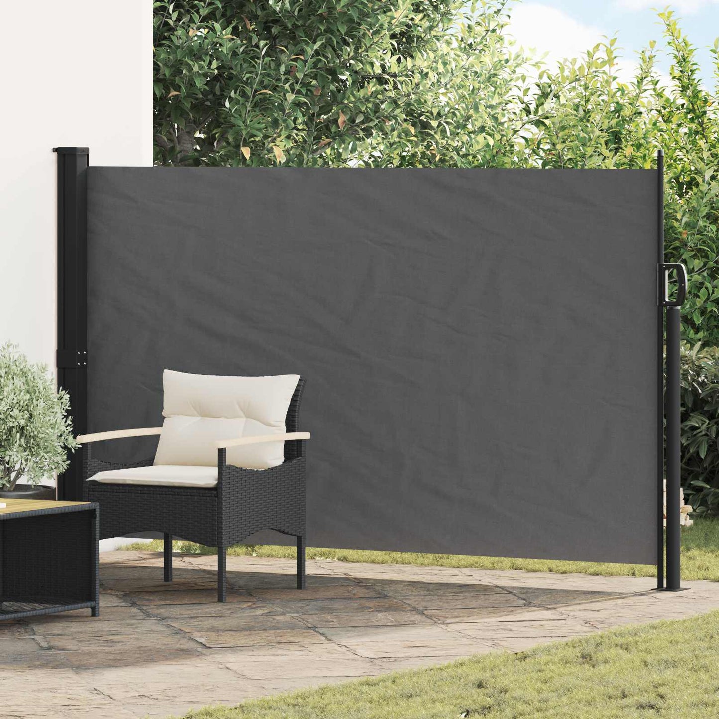 Ausziehbare Seitenmarkise 300 x 170 cm Polyester Rechteckig