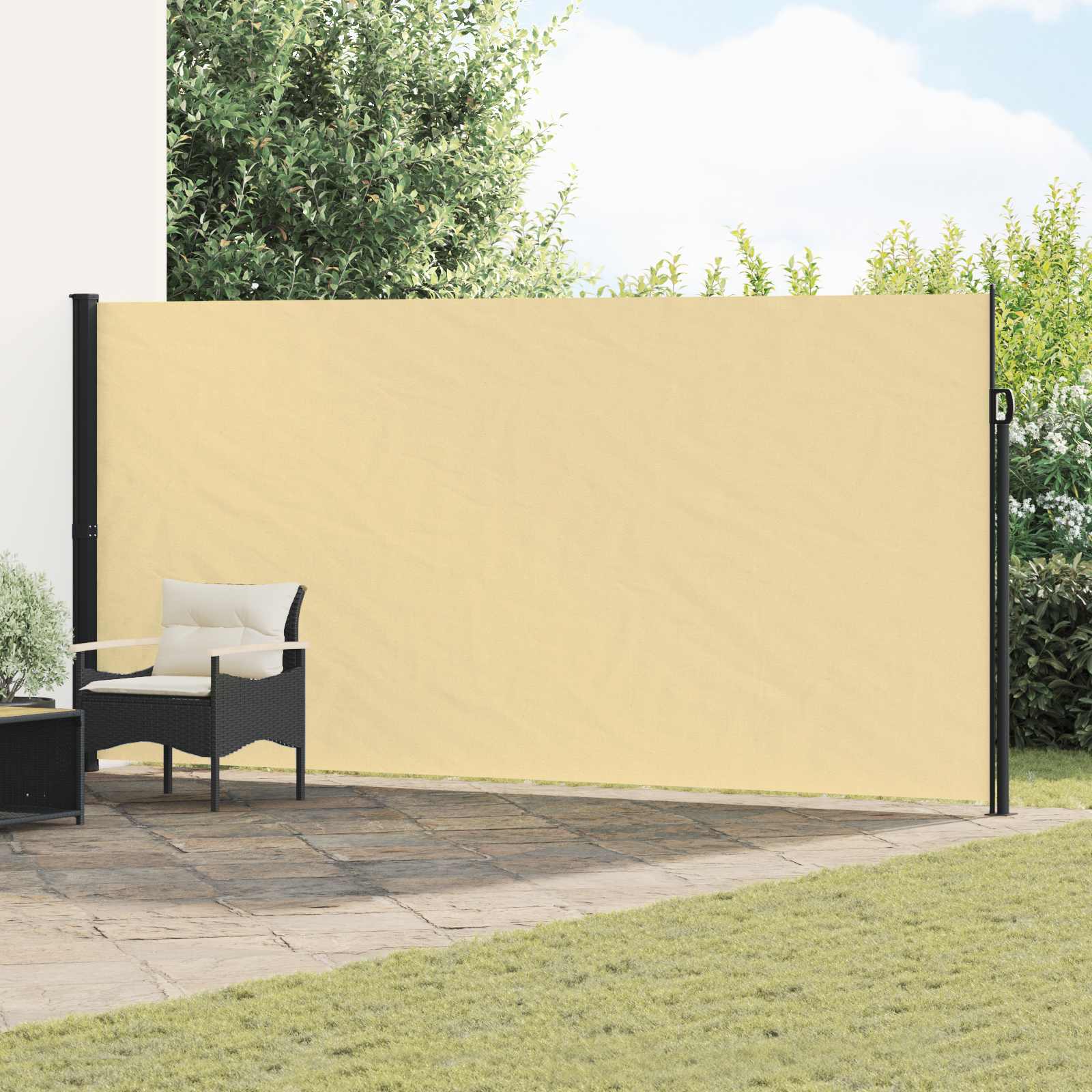 Ausziehbare Seitenmarkise 300 x 220 cm Polyester Rechteckig