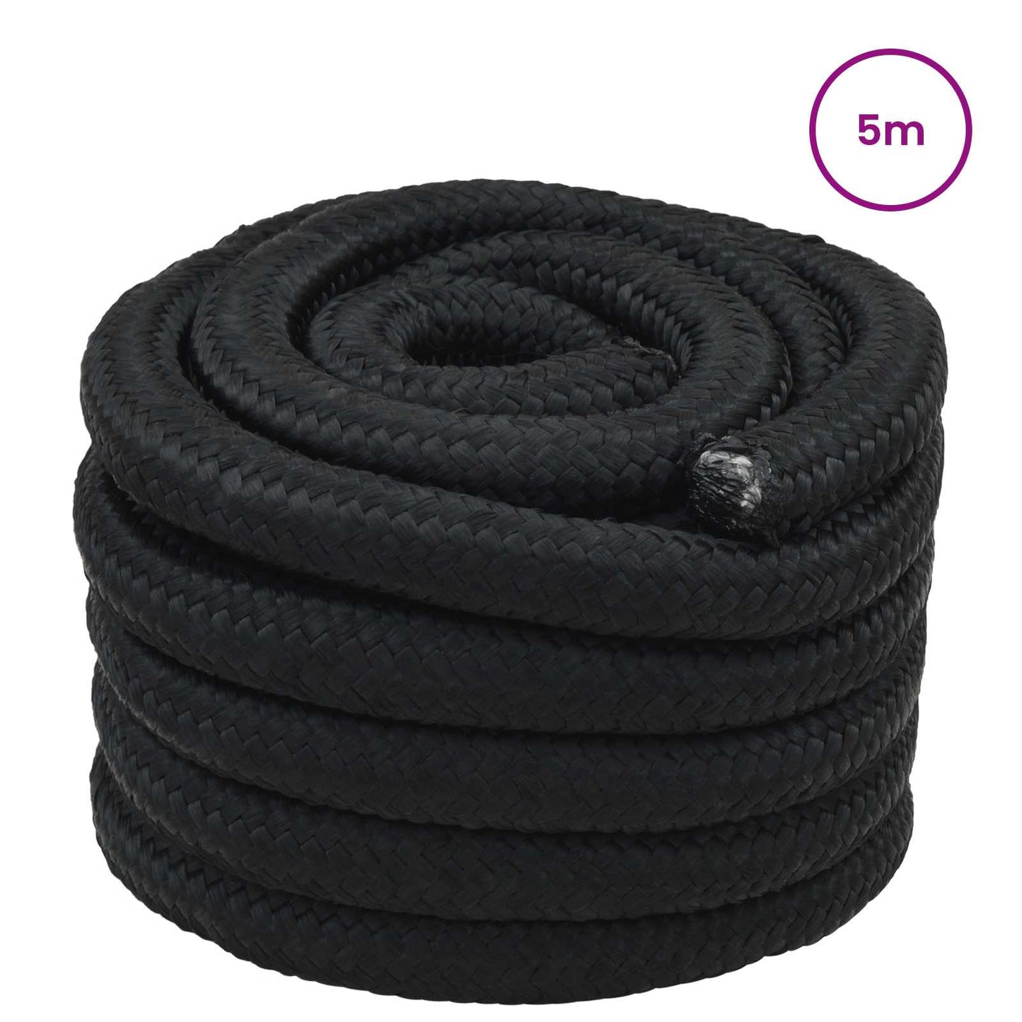 Bootsseil 3 mm 5 m Schwarz PP