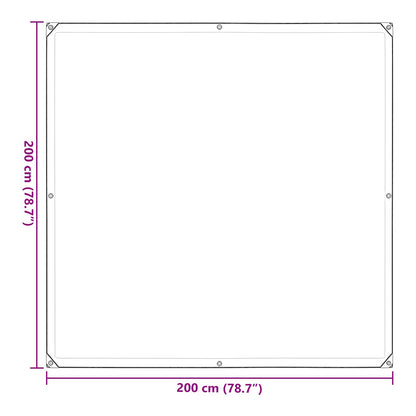 Pflanzenabdeckung 2 x 2 m PE Transparent