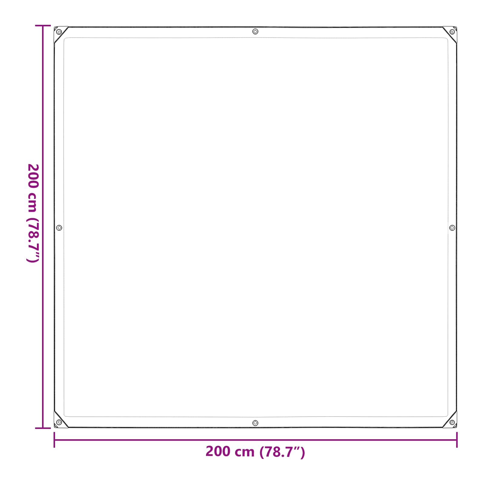 Pflanzenabdeckung Transparent 2 x 2 m PE
