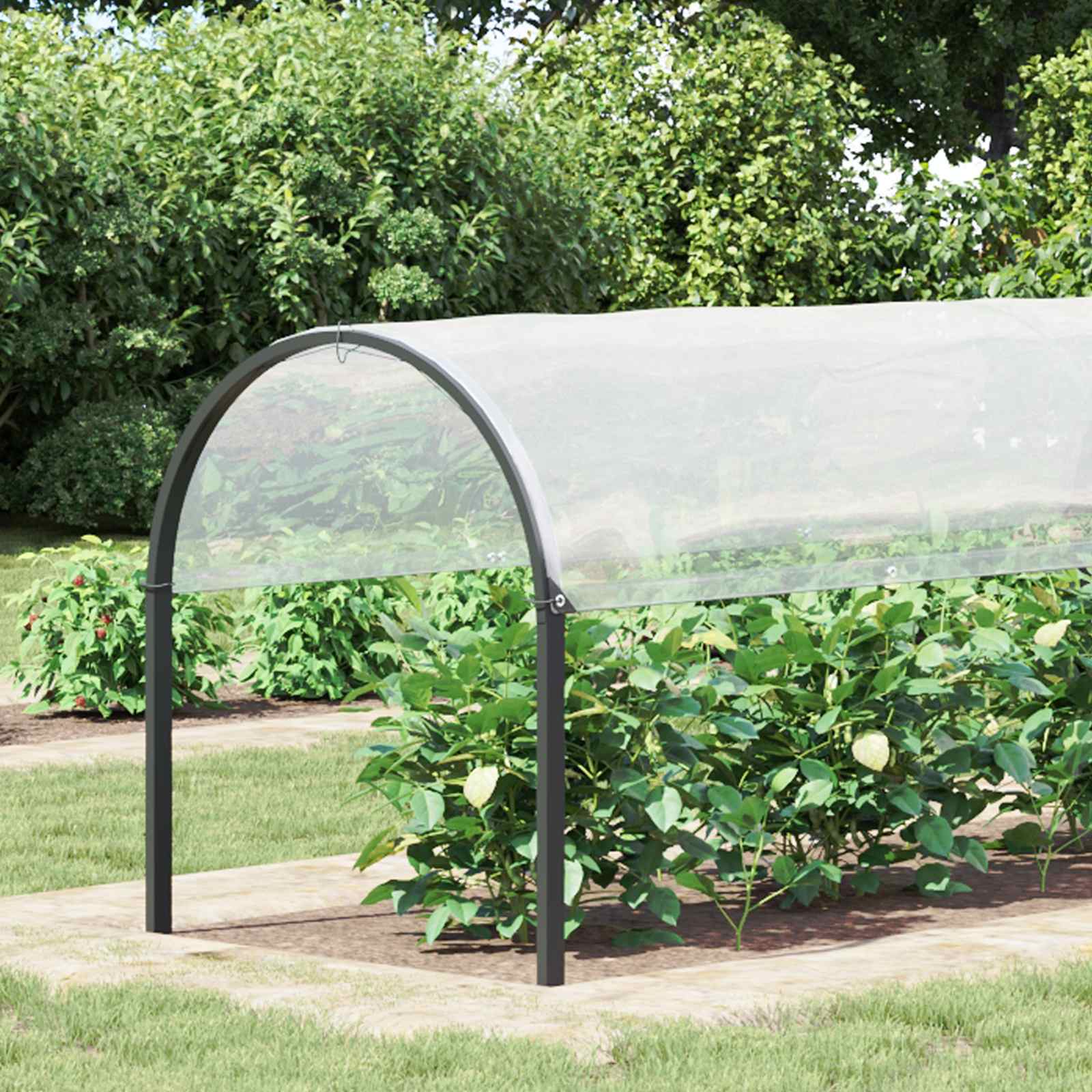 Pflanzenabdeckung Transparent 2 x 12 m PE