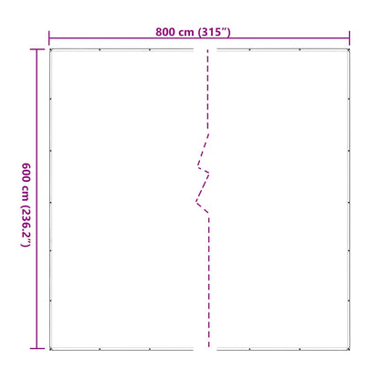Pflanzenabdeckung 6 x 8 m PE Transparent