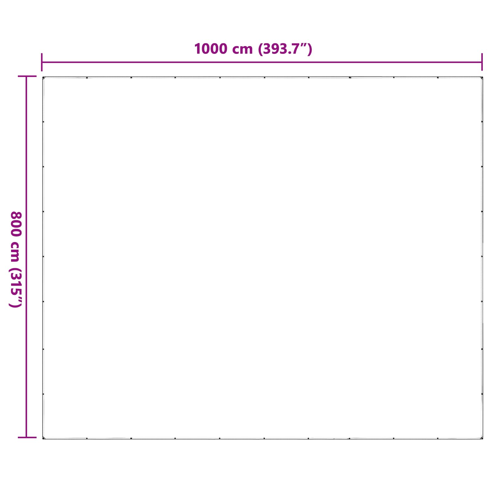 Pflanzenabdeckung Transparent 8 x 10 m PE