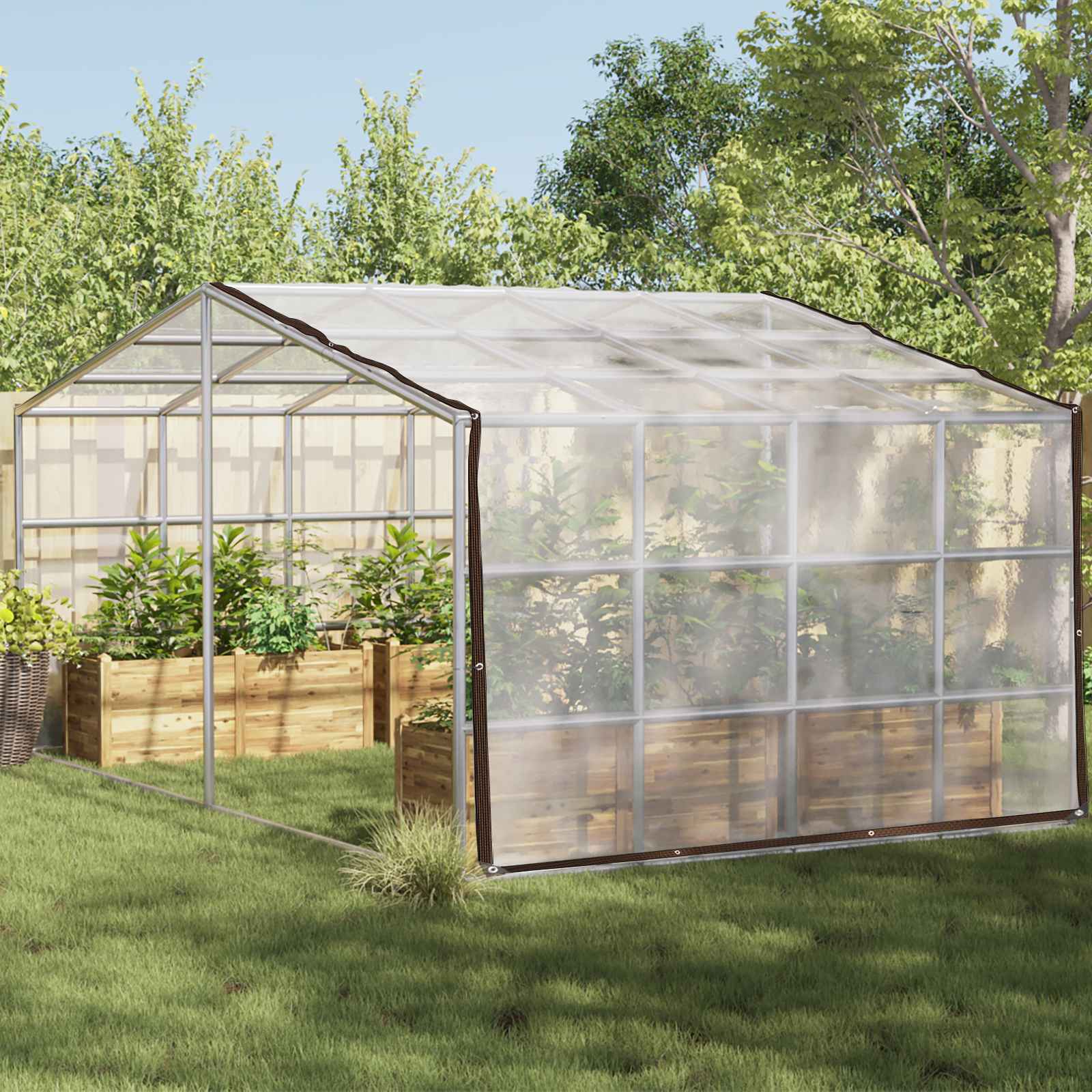 Pflanzenabdeckung Transparent 2 x 12 m PE