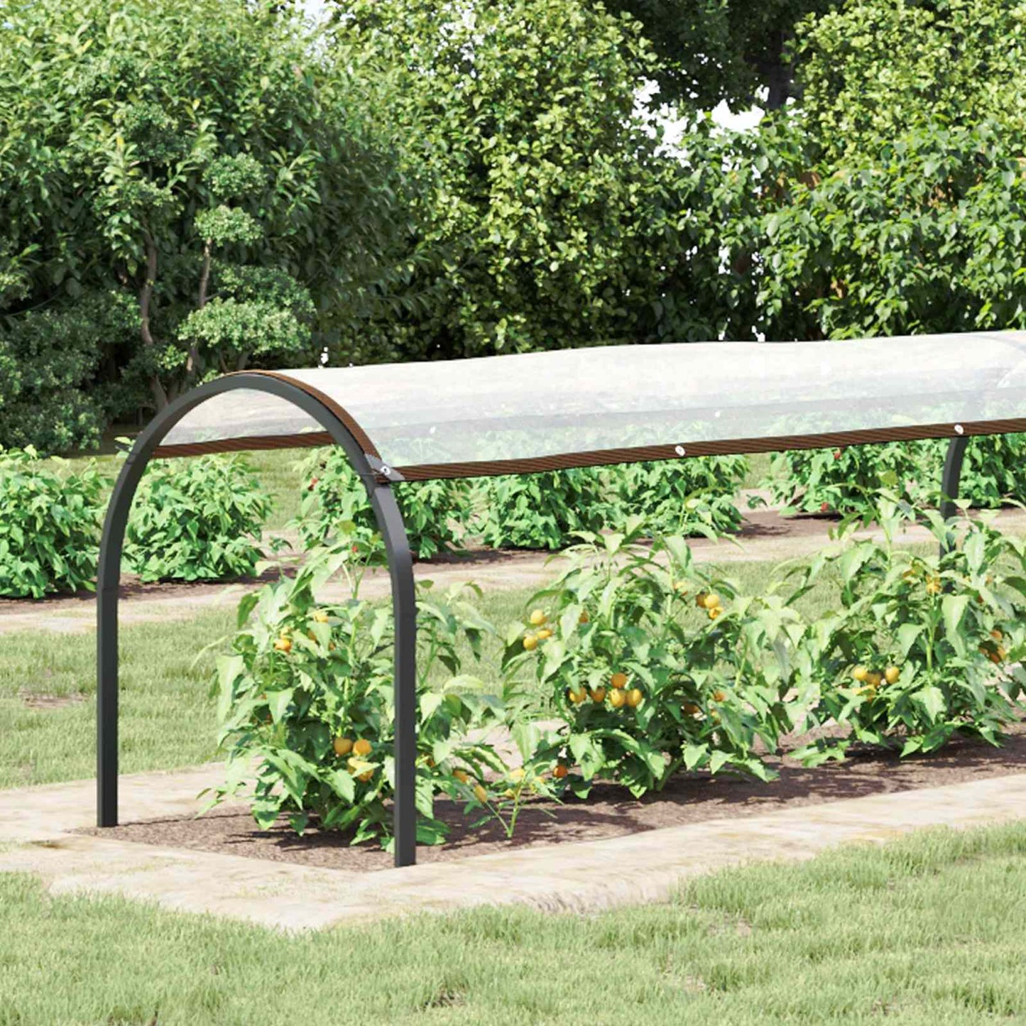 Pflanzenabdeckung Transparent 10 x 1,5 m PE