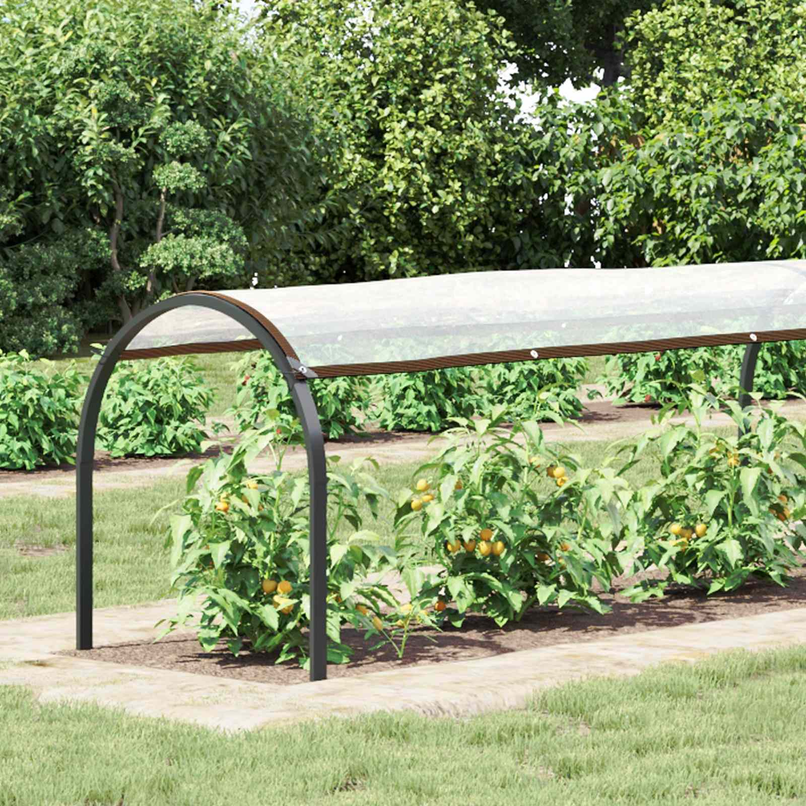 Pflanzenabdeckung Transparent 10 x 1,5 m PE