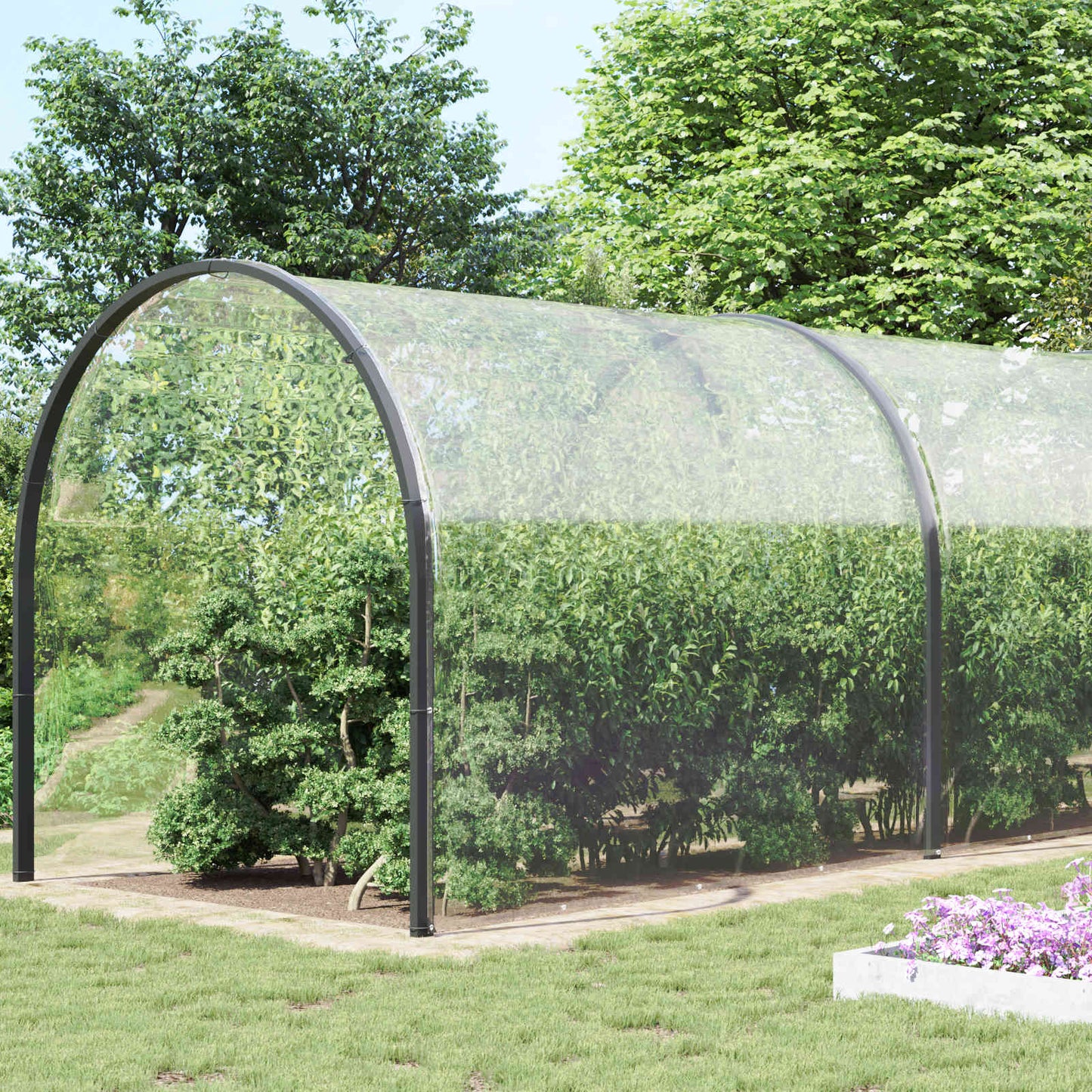 Pflanzenabdeckung Transparent 8 x 8 m PVC