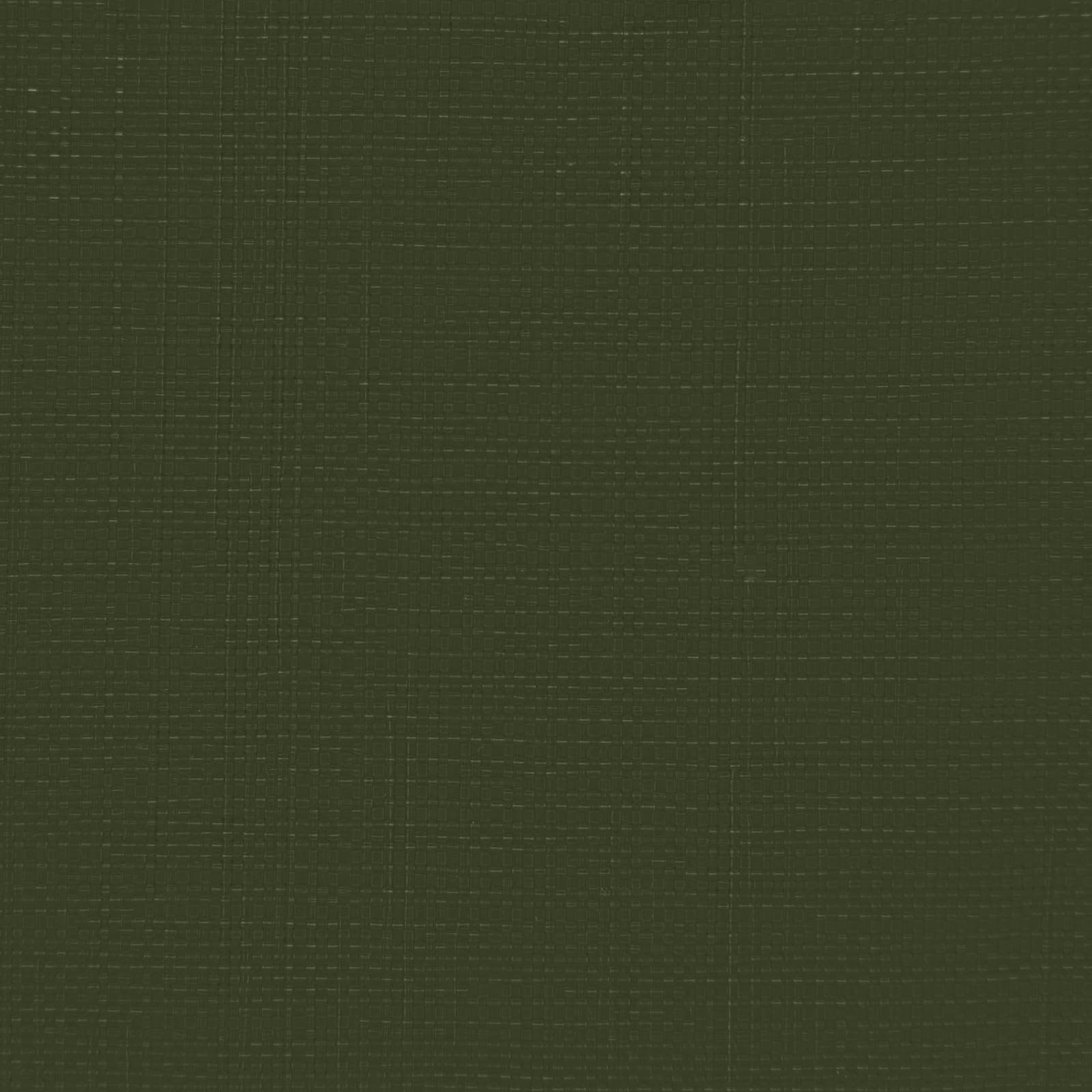 Plane mit Ösen Grün 4 x 4 m 260 gsm PE