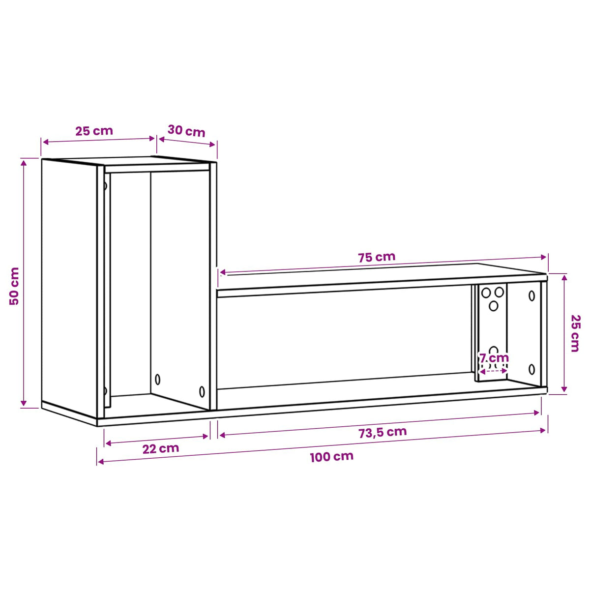 TV-Schränk 100 x 30 x 50 cm Schwarz Eichen-Optik Holzwerkstoff
