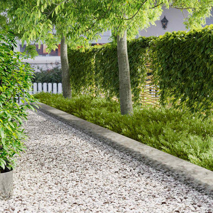 Rasenkante 10 stk. 103 x 25 cm Stahl Silber