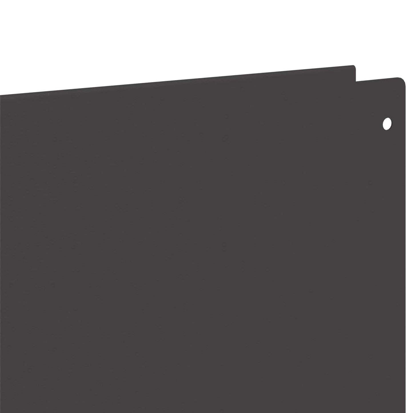 Rasenkante 20 stk. 100 x 15 cm Stahl Schwarz