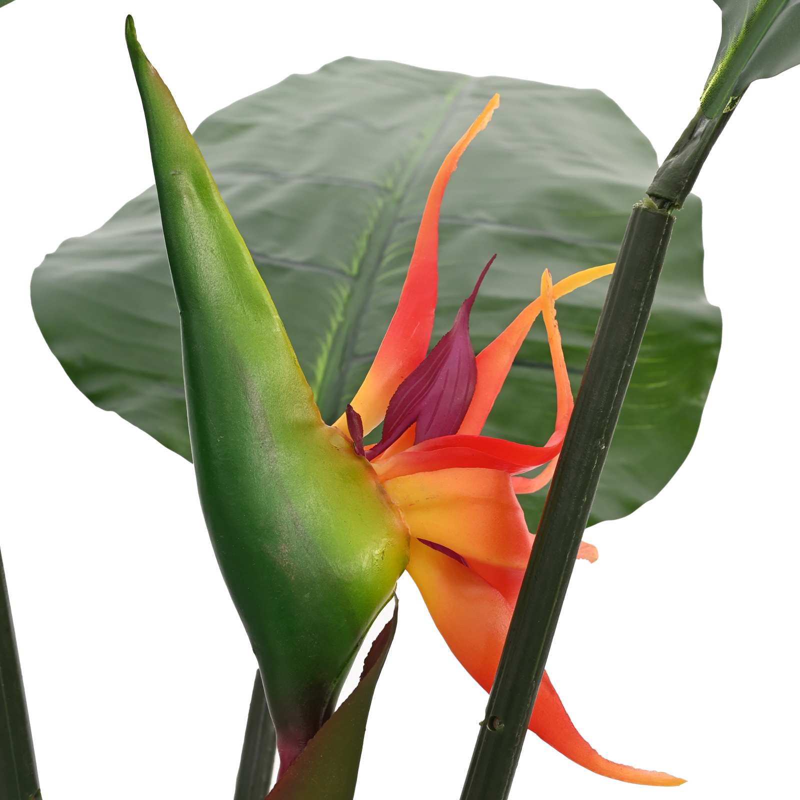 Künstliche Strelitzia-Pflanze Grün 70 x 18 x 155 cm
