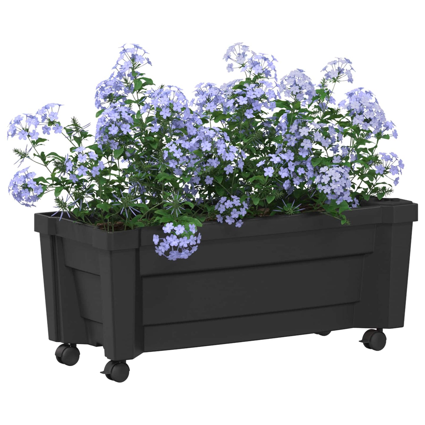 Calypso Blumentopf mit Rädern PP Anthrazit