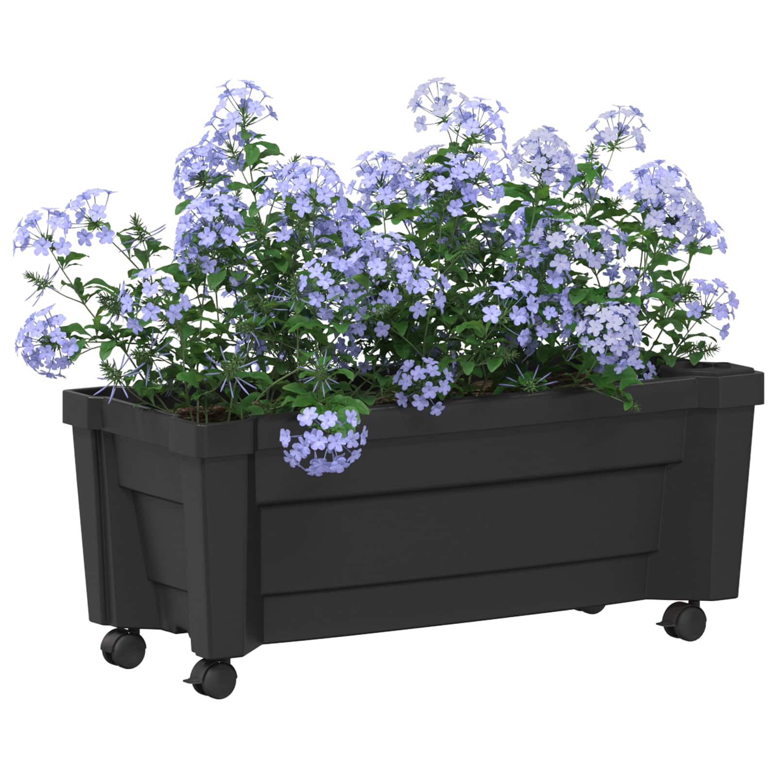 Calypso Blumentopf mit Rädern PP Anthrazit