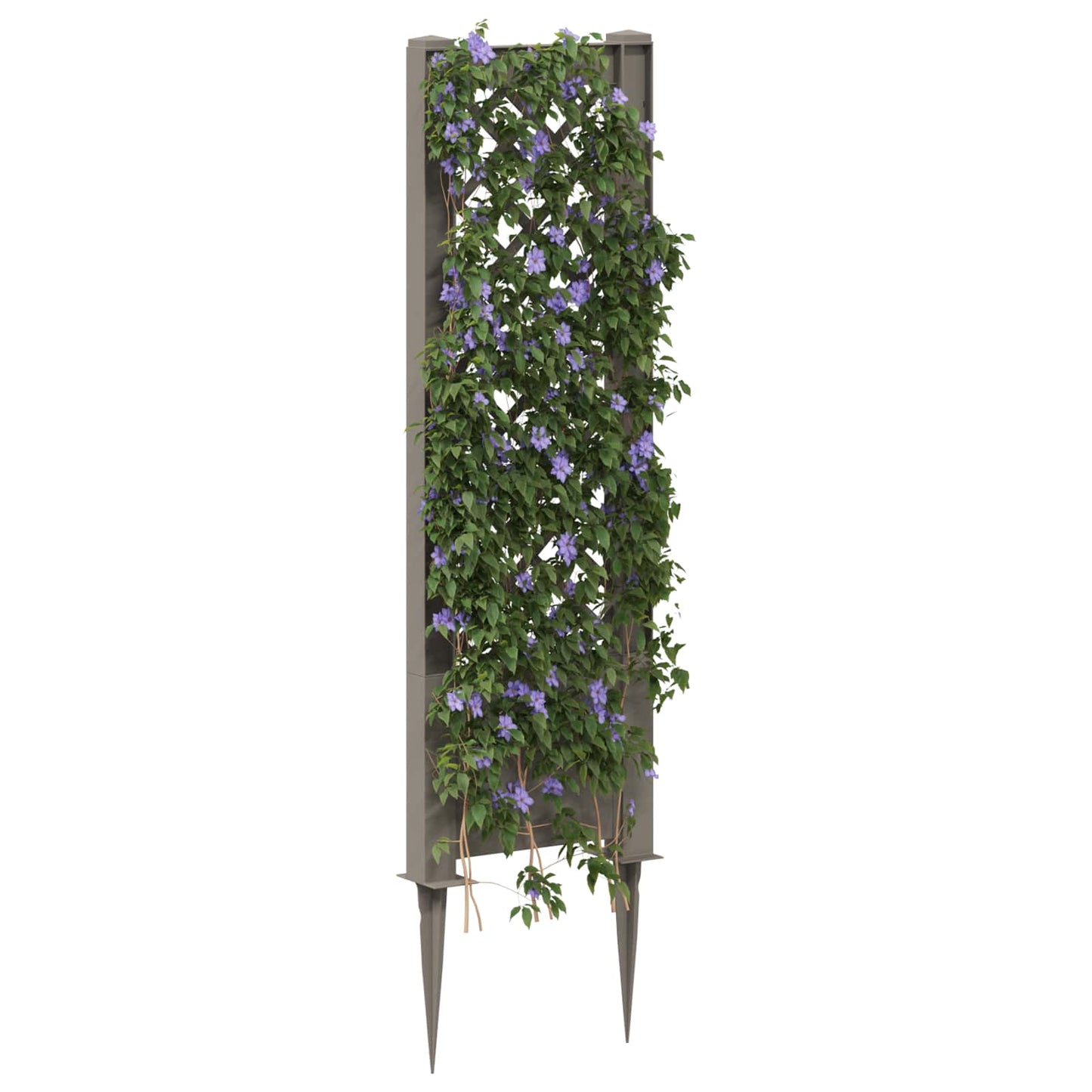Trellis mit Spike PP Grau