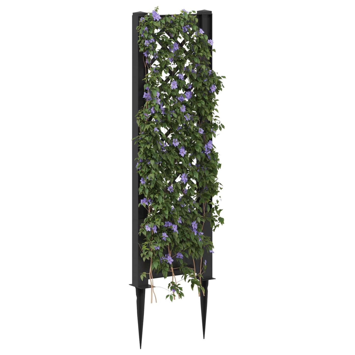 Trellis mit Spike PP Anthrazit