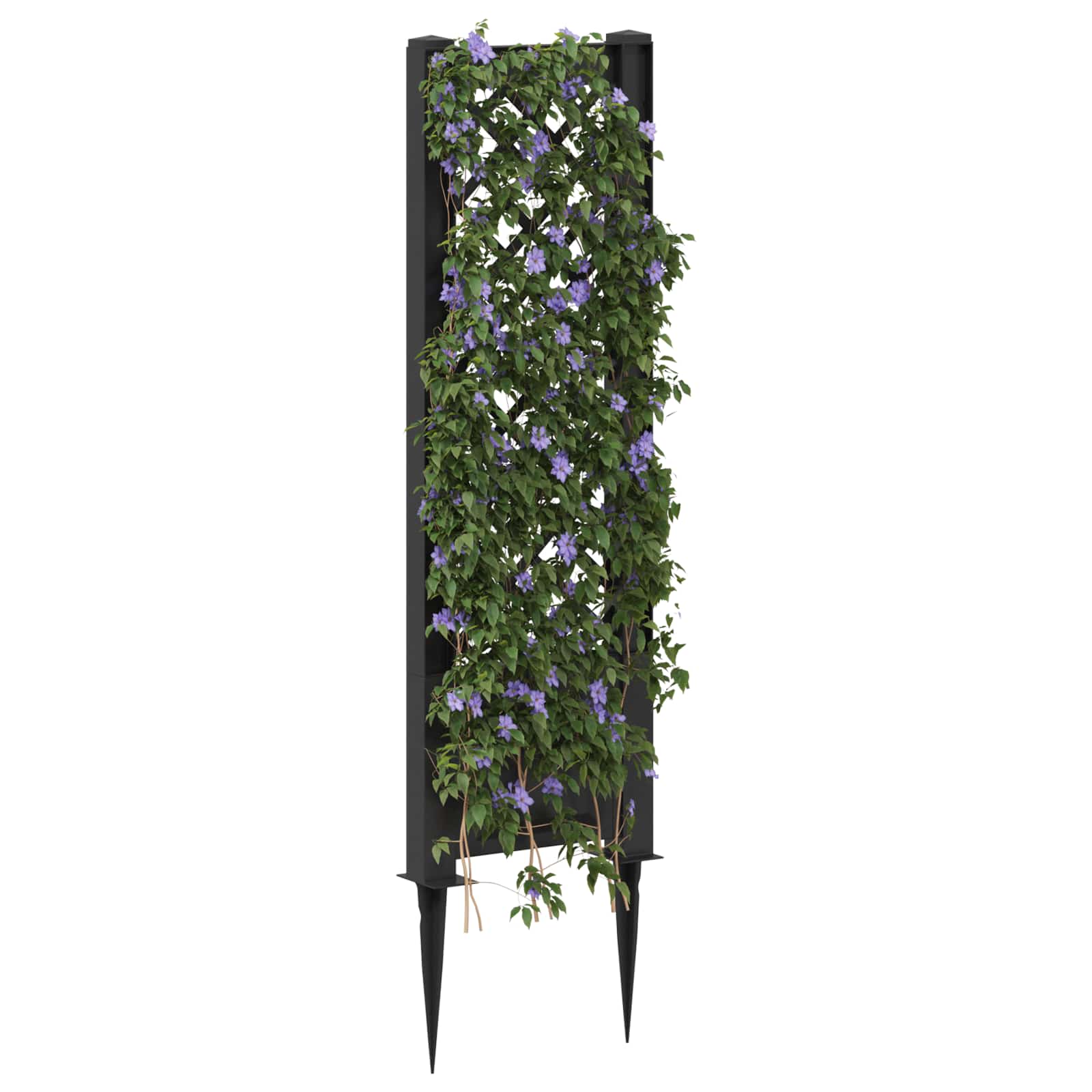 Trellis mit Spike PP Anthrazit